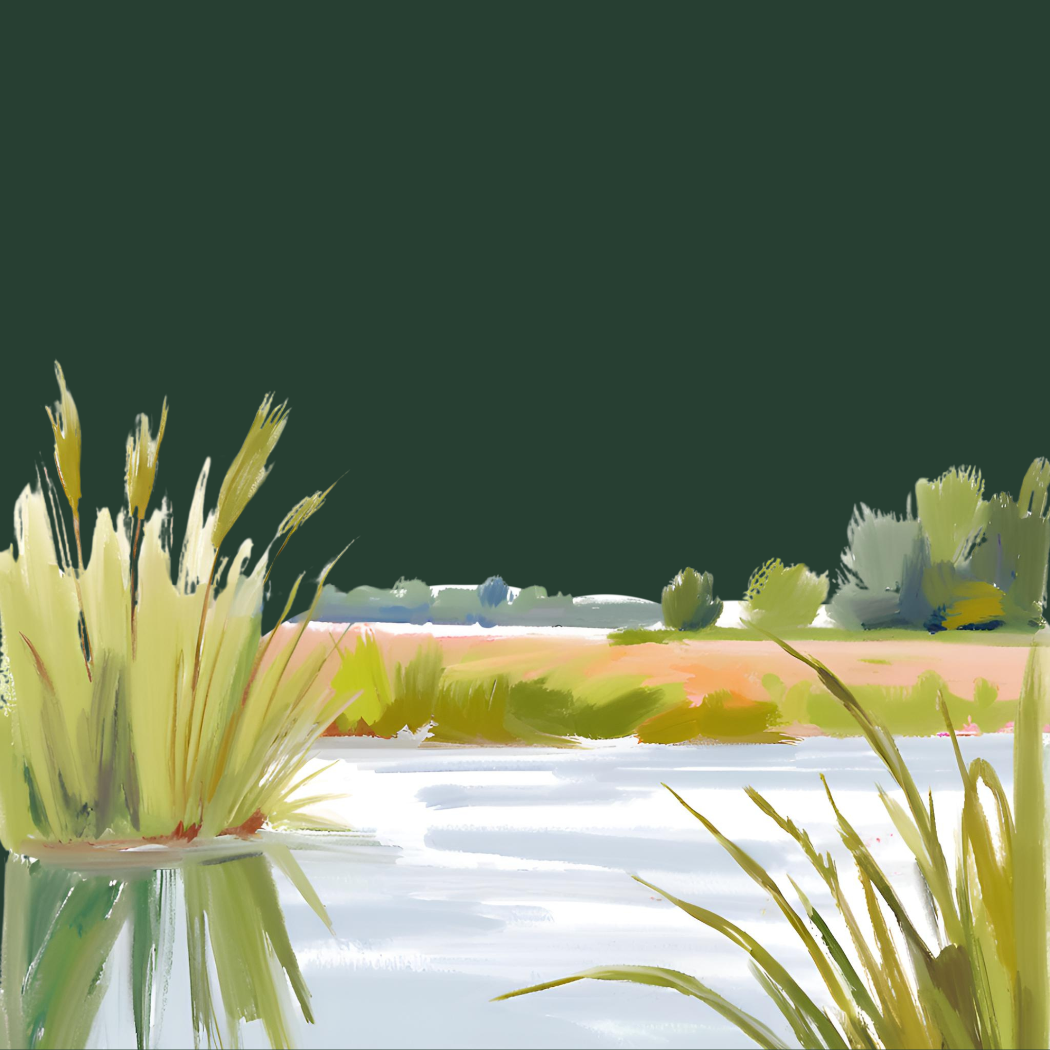 Wetland Meadow at Parliament Hill School
