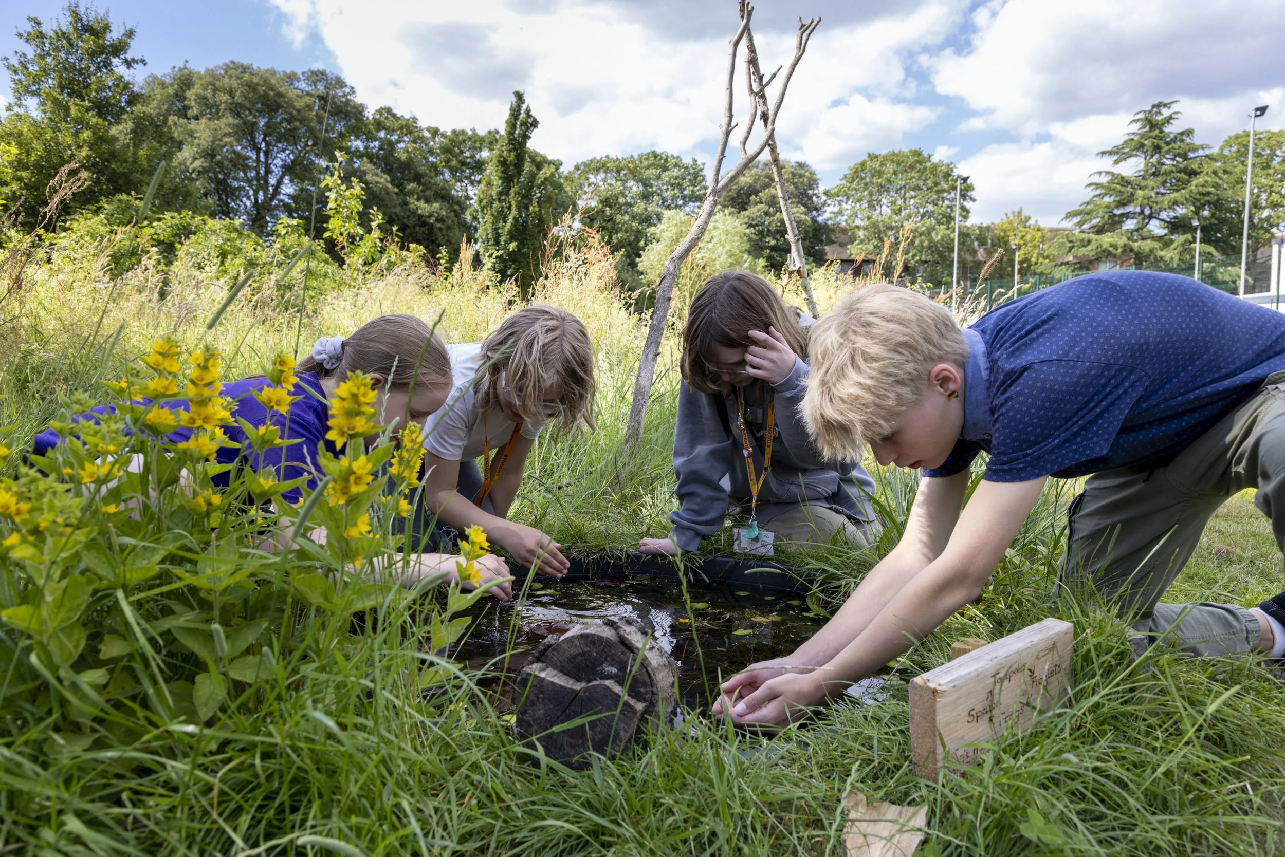 Parliament Hill Scl_043.JPG