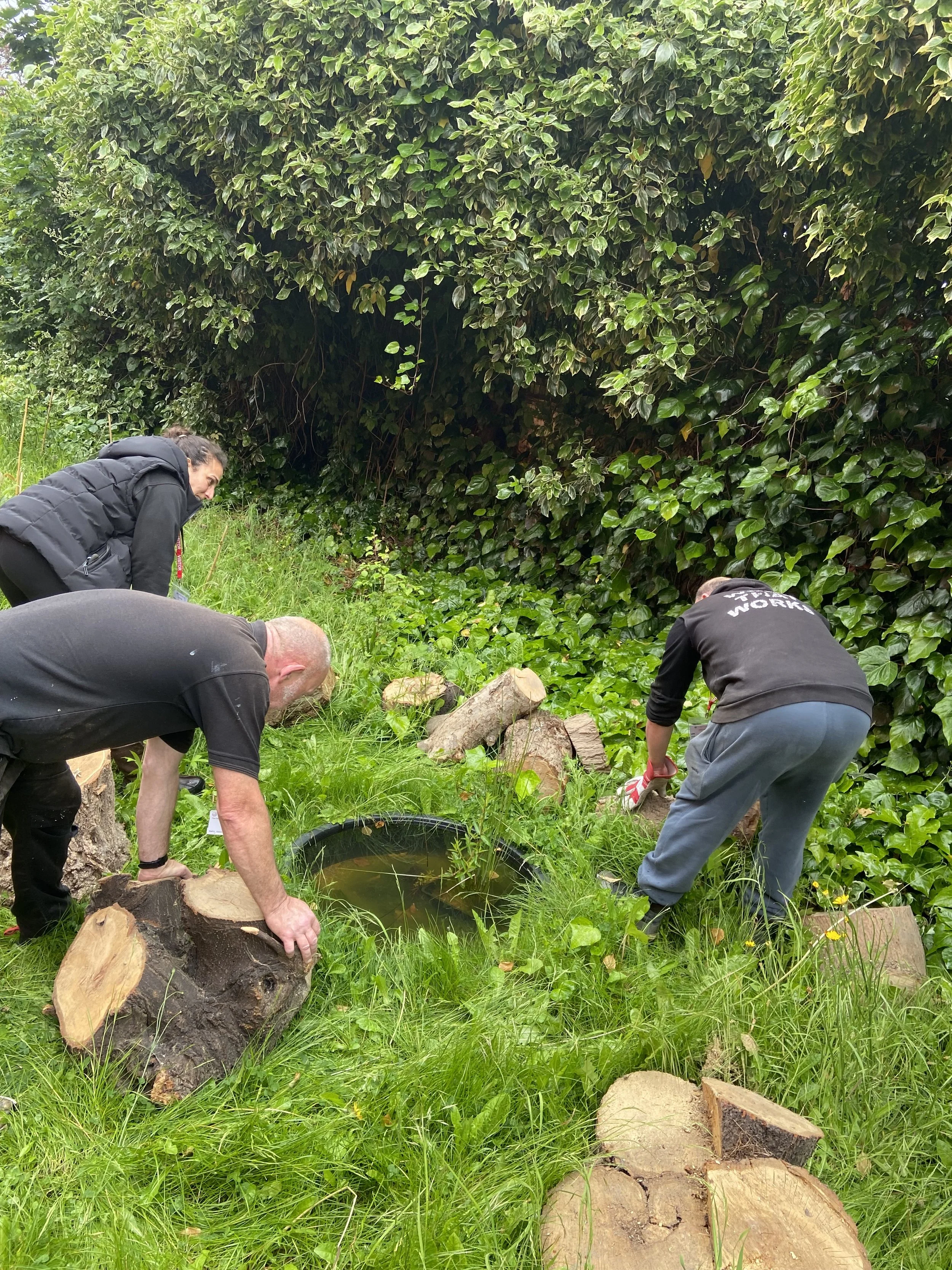 Tranquil pond surrounded by tall grasses, creating a rich habitat for wildlife and pollinators.