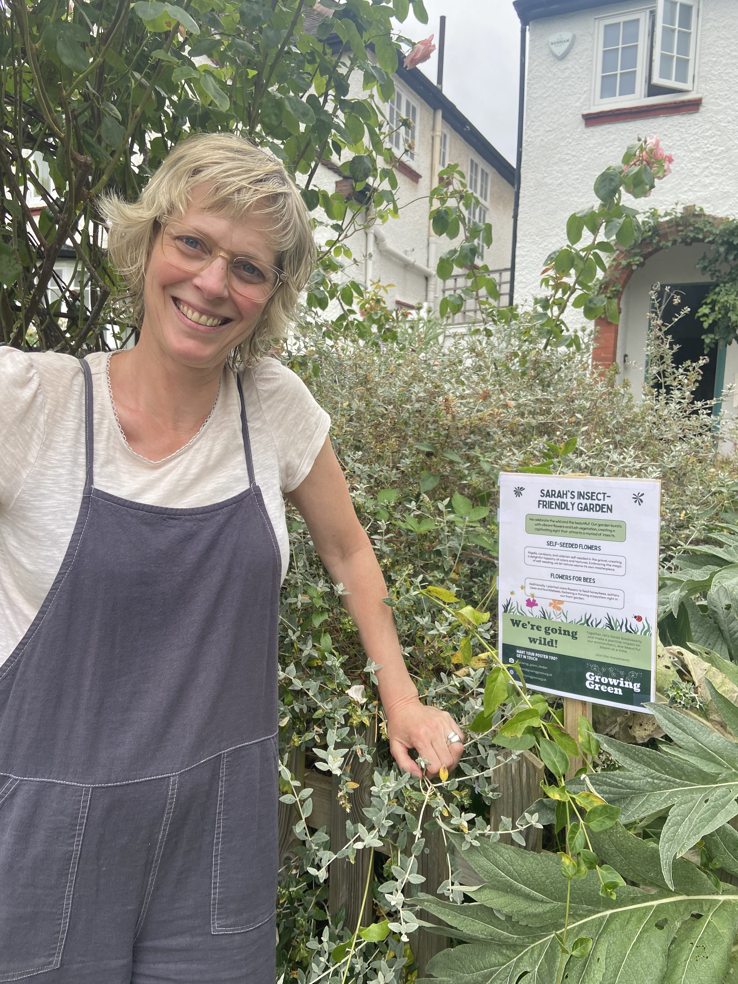 We're Going Wild - our project which focuses on rewilding front gardens!