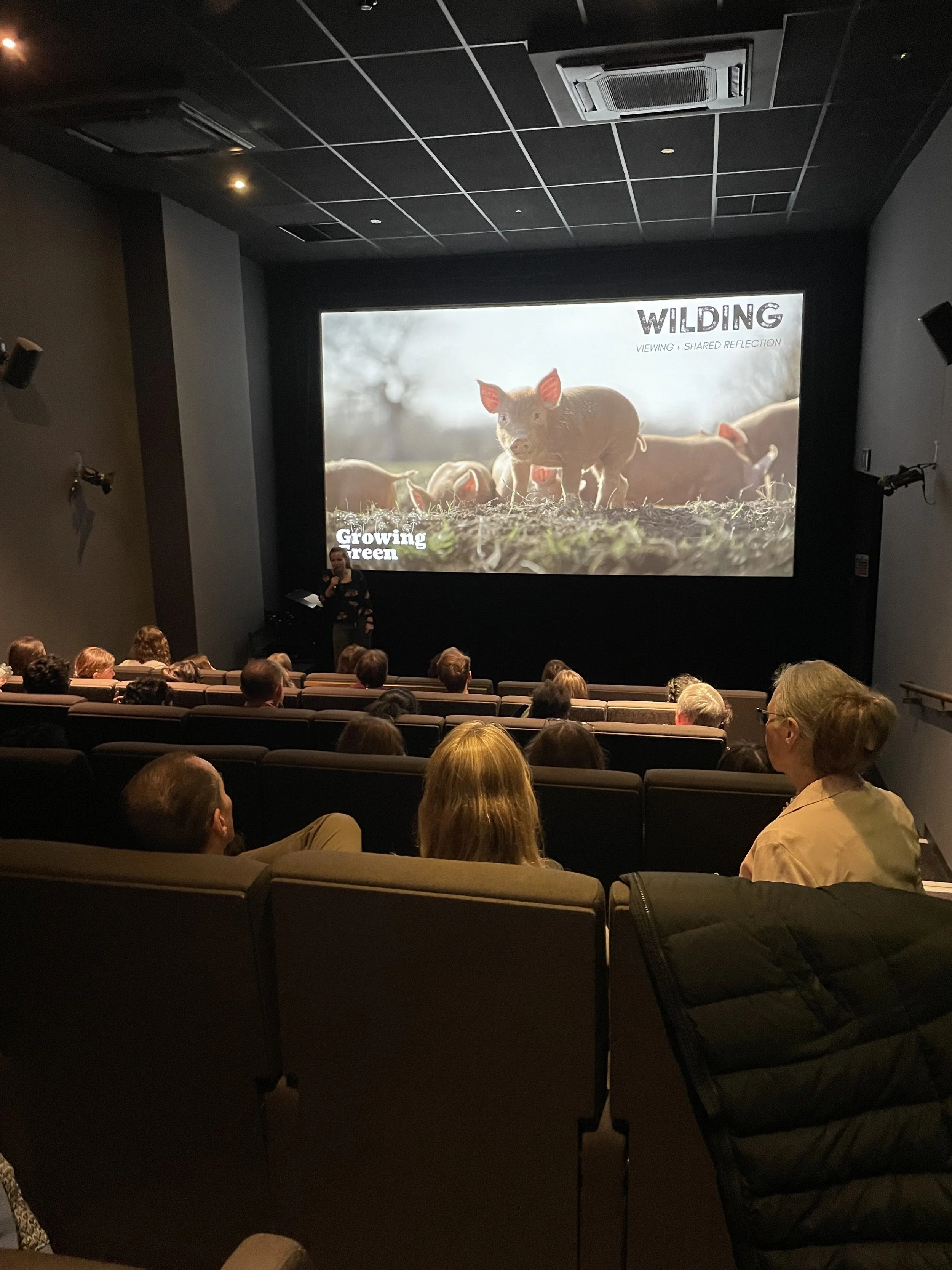Students watching Wilding documentary at the Curzon Cinema