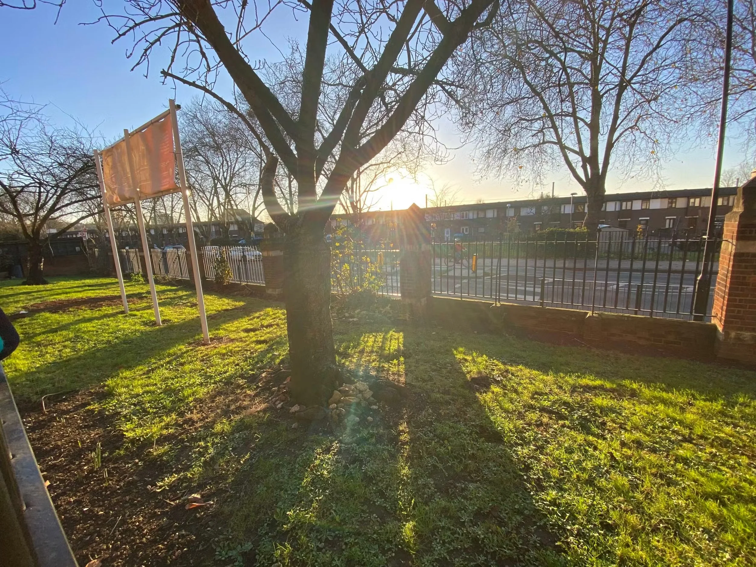 Incoming vibrant wildflower meadow filled with pollinator-friendly plants, providing food for bees and butterflies.
