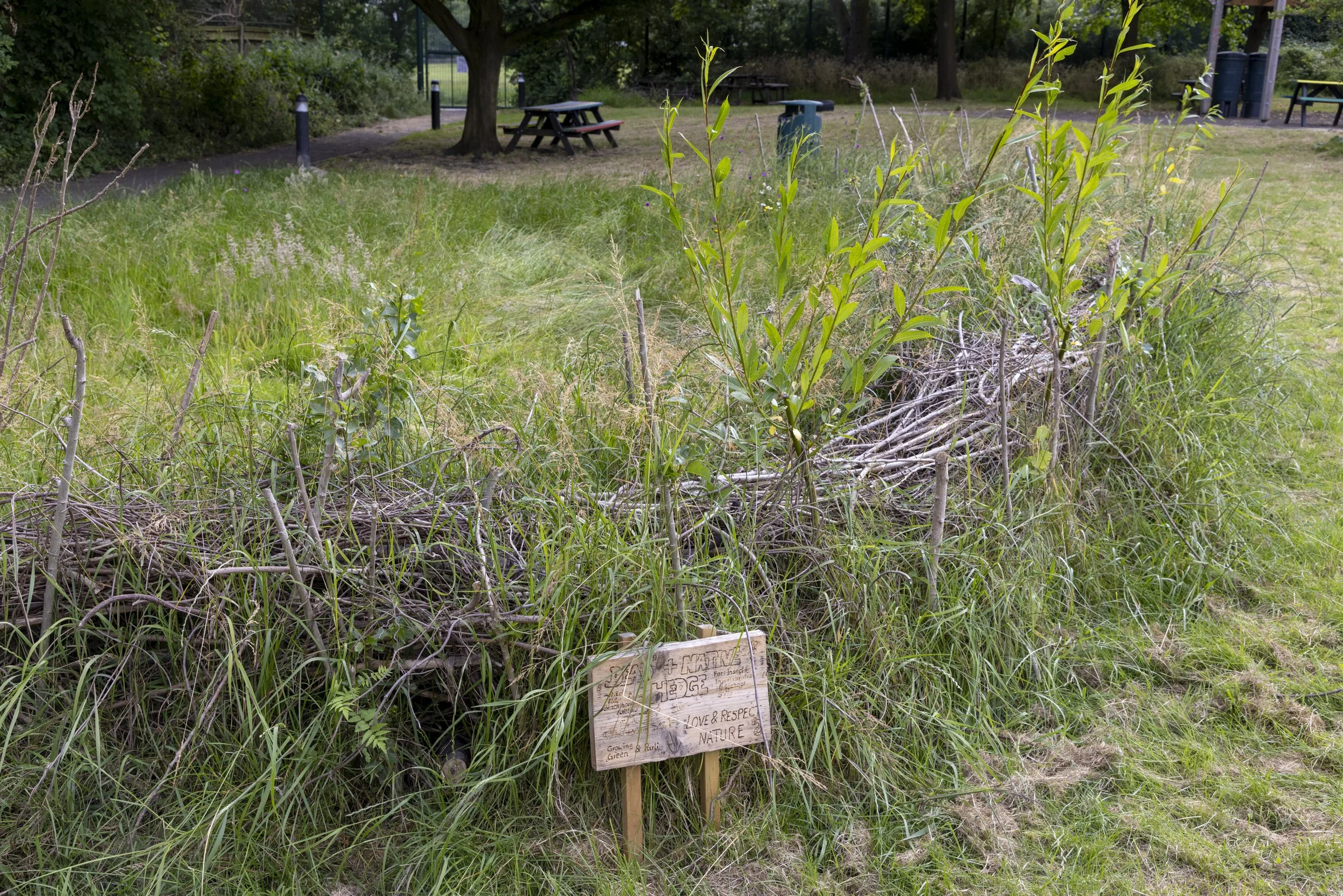 Parliament Hill Scl_247.JPG