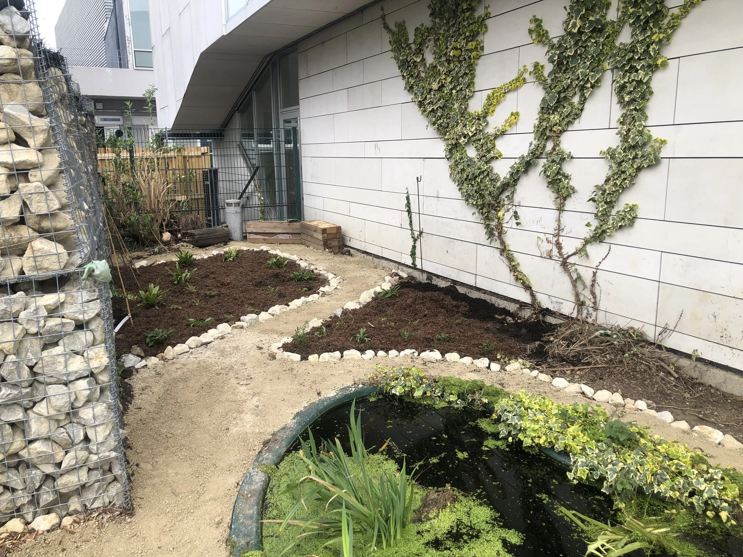 New pond to increase biodiversity