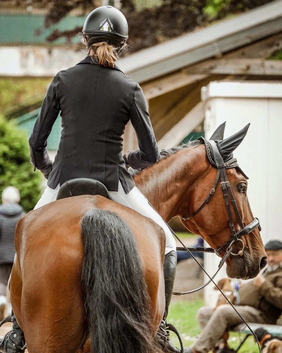 Yoann Vareille - Photographe équitation - Brive-la-Gaillarde, Corrèze, Nouvelle-Aquitaine