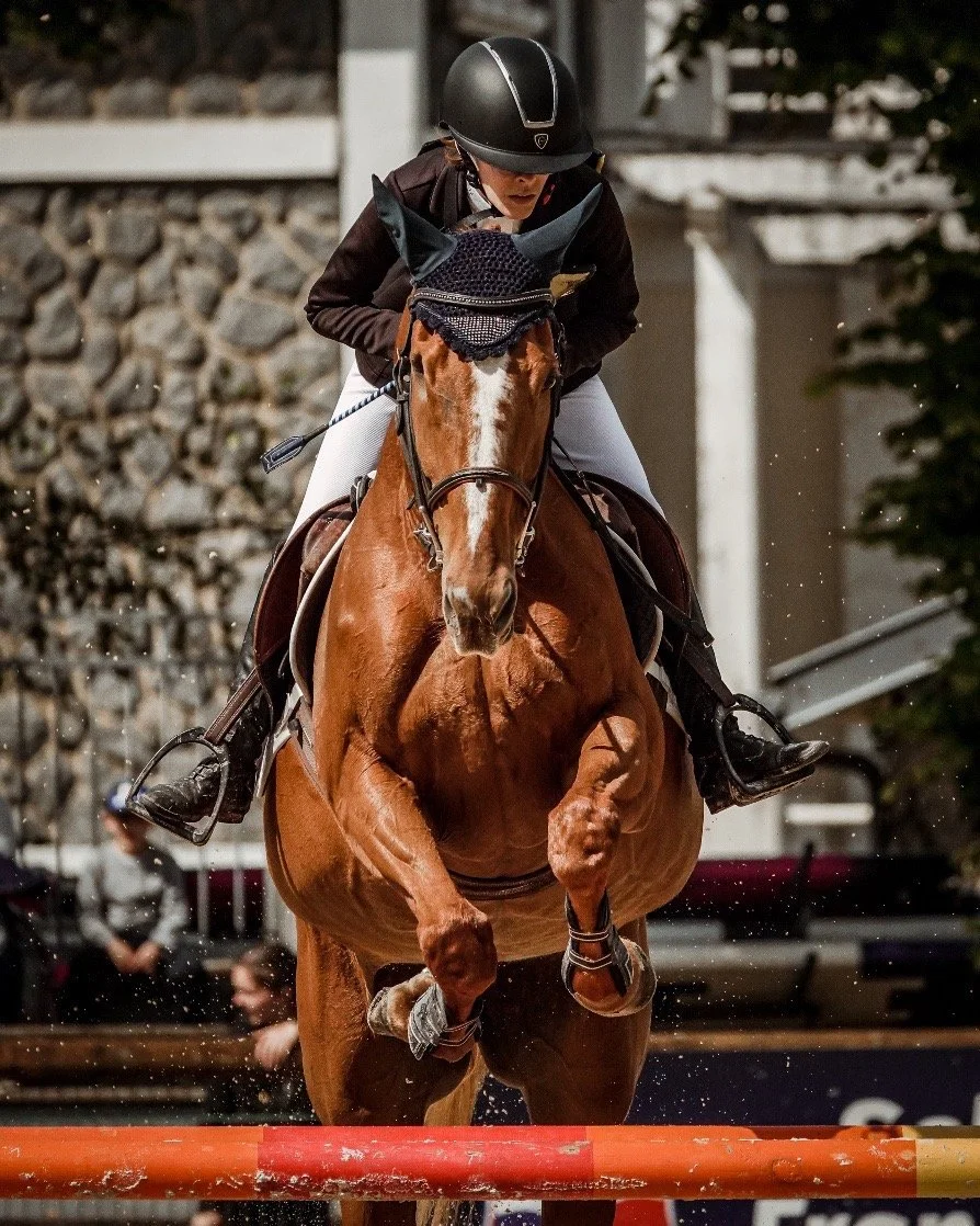 Yoann Vareille - Photographe équitation - Brive-la-Gaillarde, Corrèze, Nouvelle-Aquitaine