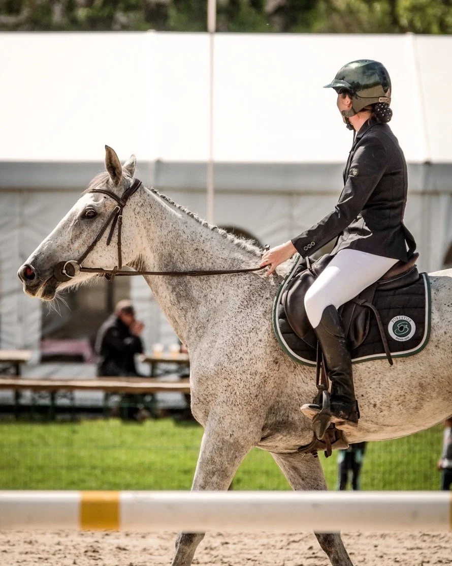 Yoann Vareille - Photographe équitation - Brive-la-Gaillarde, Corrèze, Nouvelle-Aquitaine