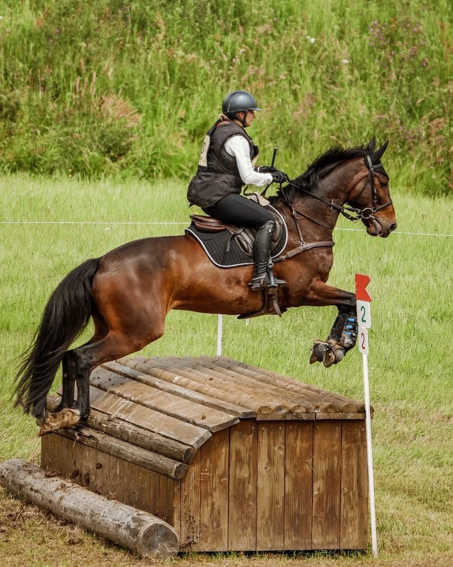 Yoann Vareille - Photographe équitation - Brive-la-Gaillarde, Corrèze, Nouvelle-Aquitaine