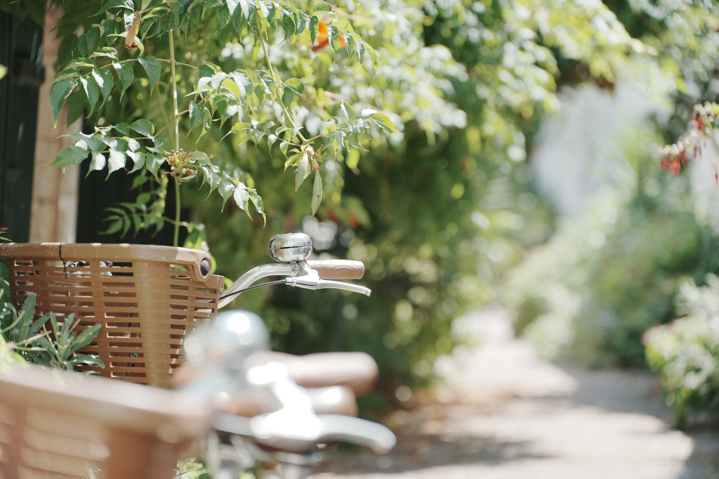 velo-panier-rue-fleurie-ile-de-re-ambiance-estivale-bokeh-voyage-yoann-vareille-photographe-brive-correze-nouvelle-aquitaine.jpg