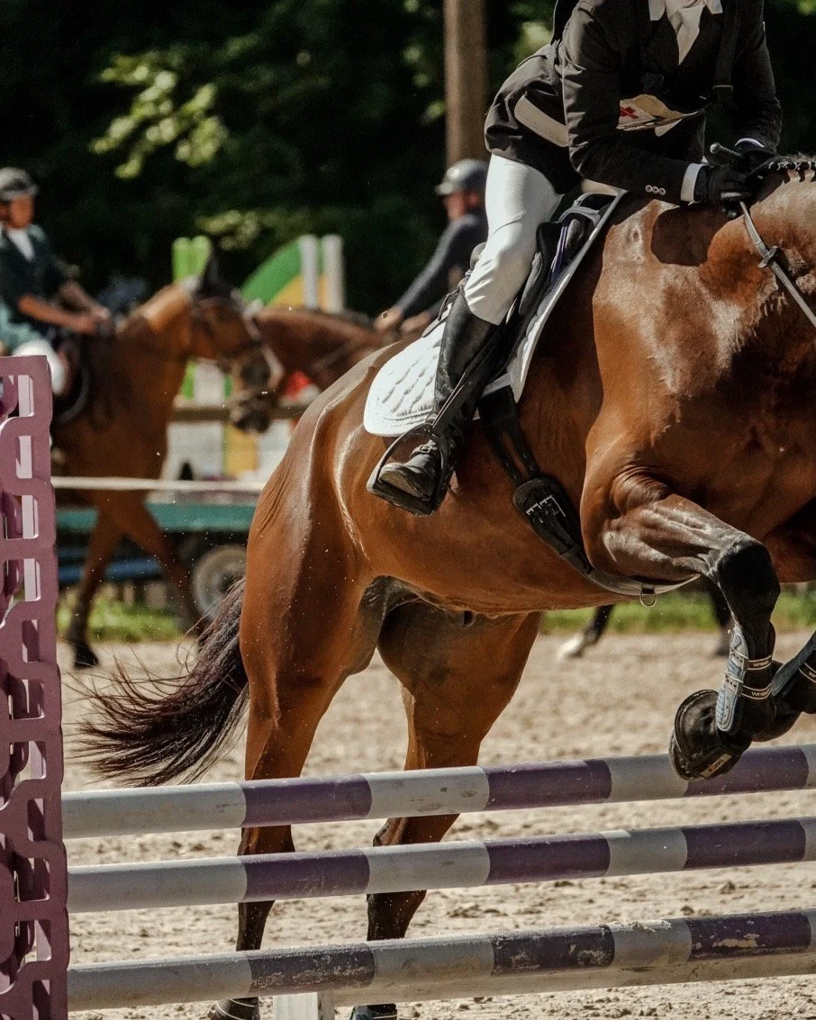 Yoann Vareille - Photographe équitation - Brive-la-Gaillarde, Corrèze, Nouvelle-Aquitaine