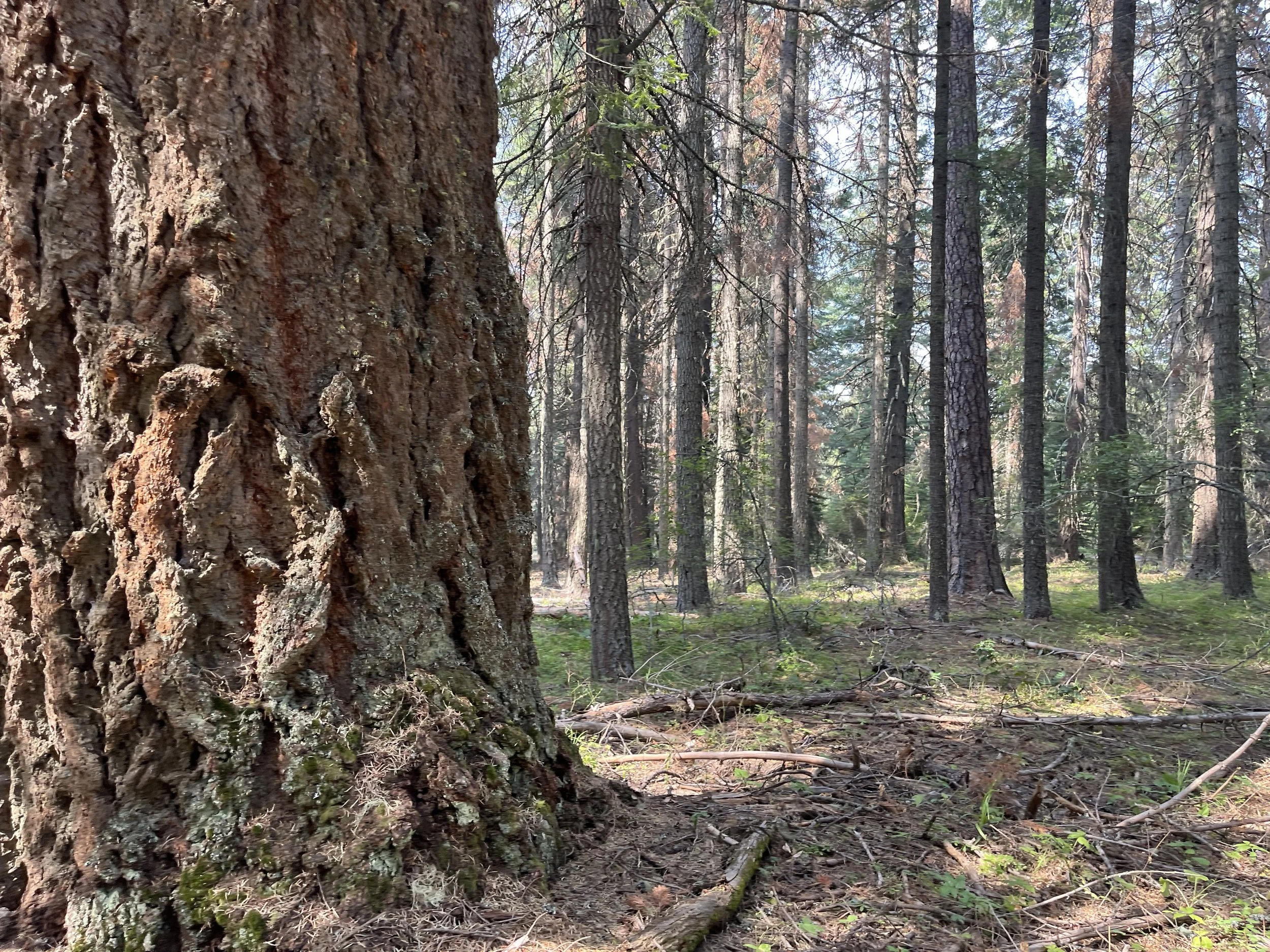 Private Coaching (Single Session)