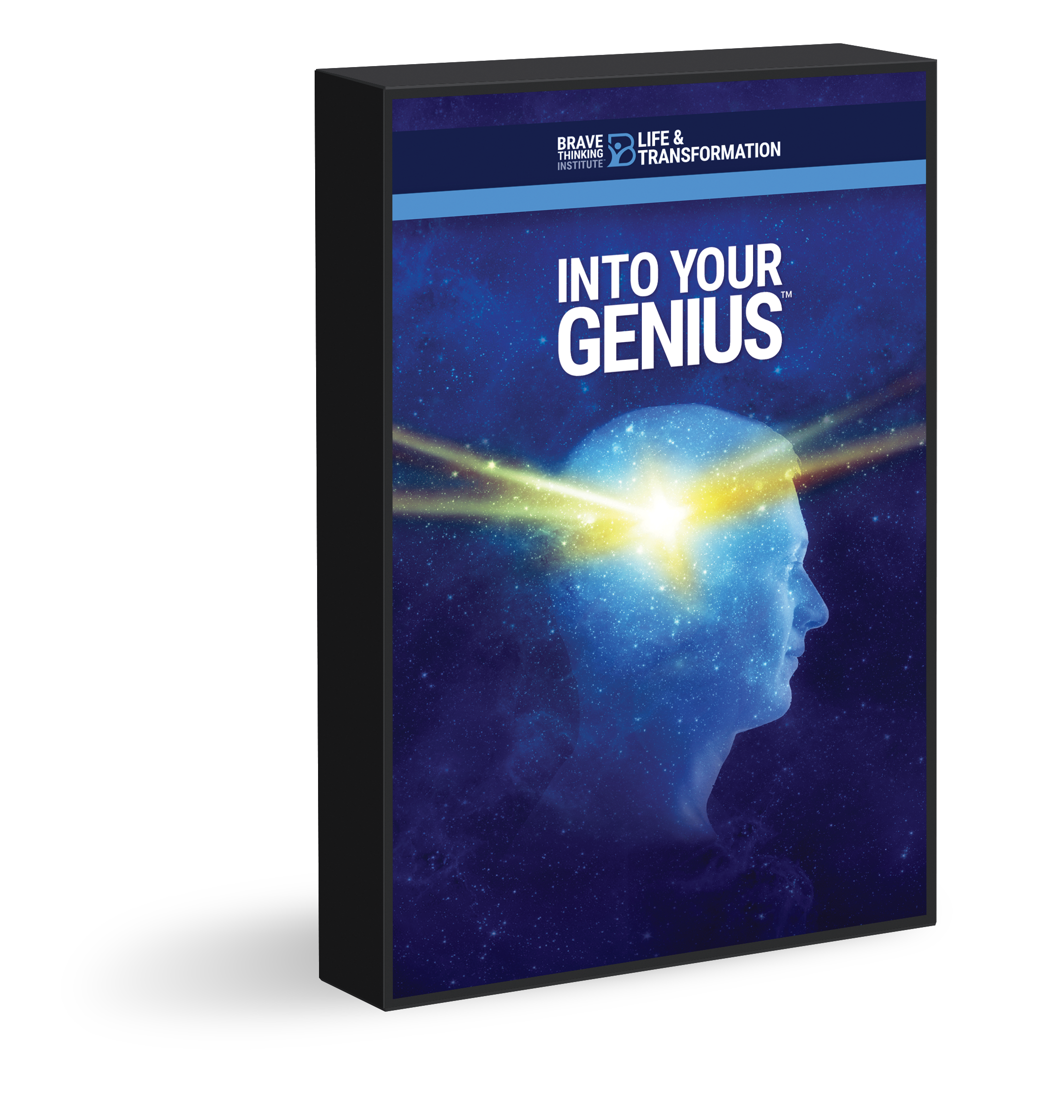 Into Your Genius Program One on One 6 Week Individual Coaching