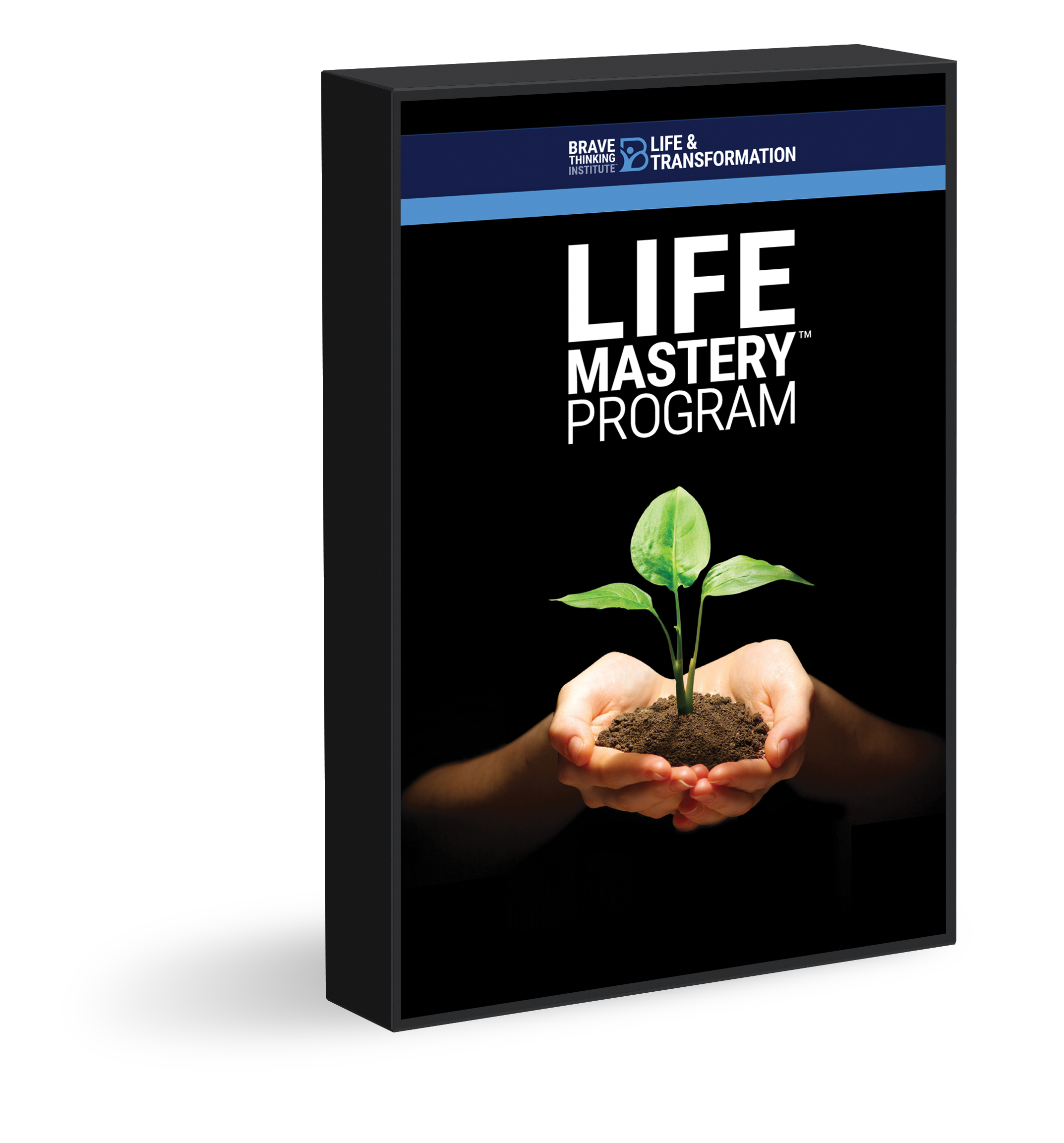 Life Mastery Program One on One 6 Month Individual Coaching
