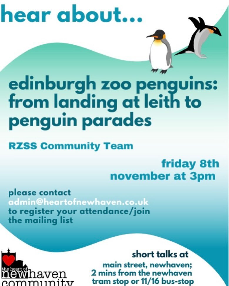 Come along to the Heart of Newhaven this Friday to hear all about the Edinburgh Zoo Penguins.
