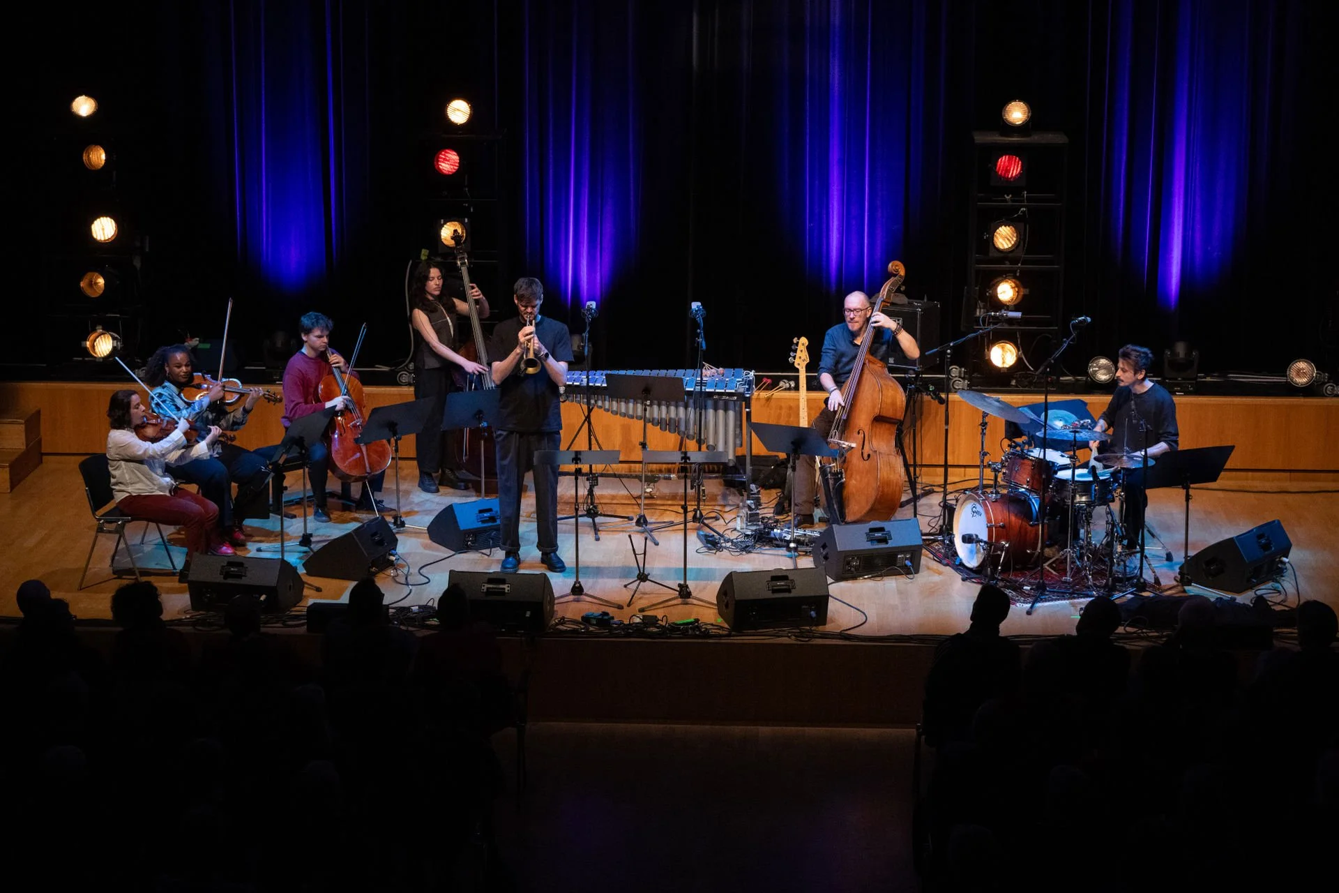 florian king trio feat. stella deepstring & guests  © julienne speckle