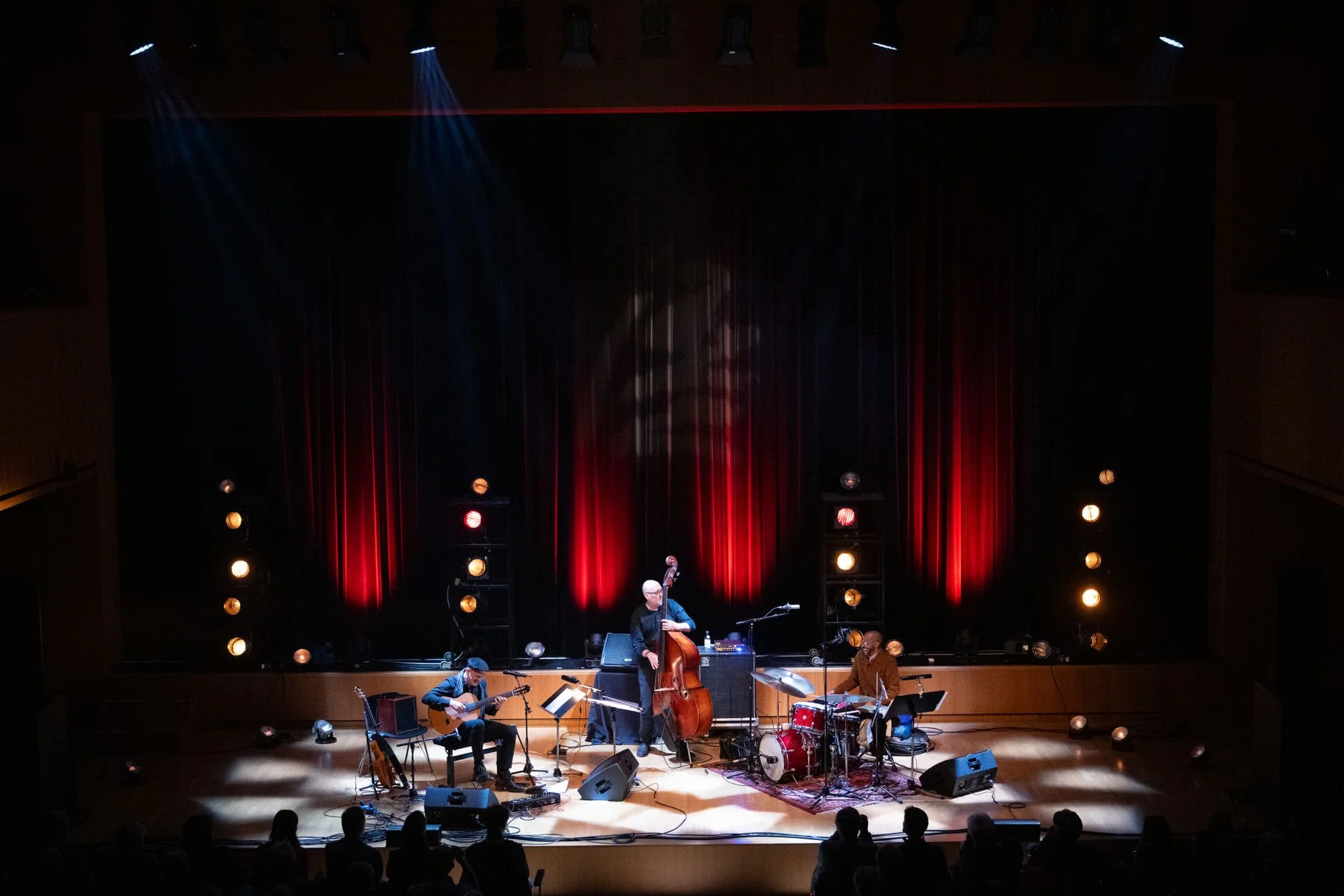 wolfgang muthspiel trio feat. brian blade & scott colley © julienne speckle