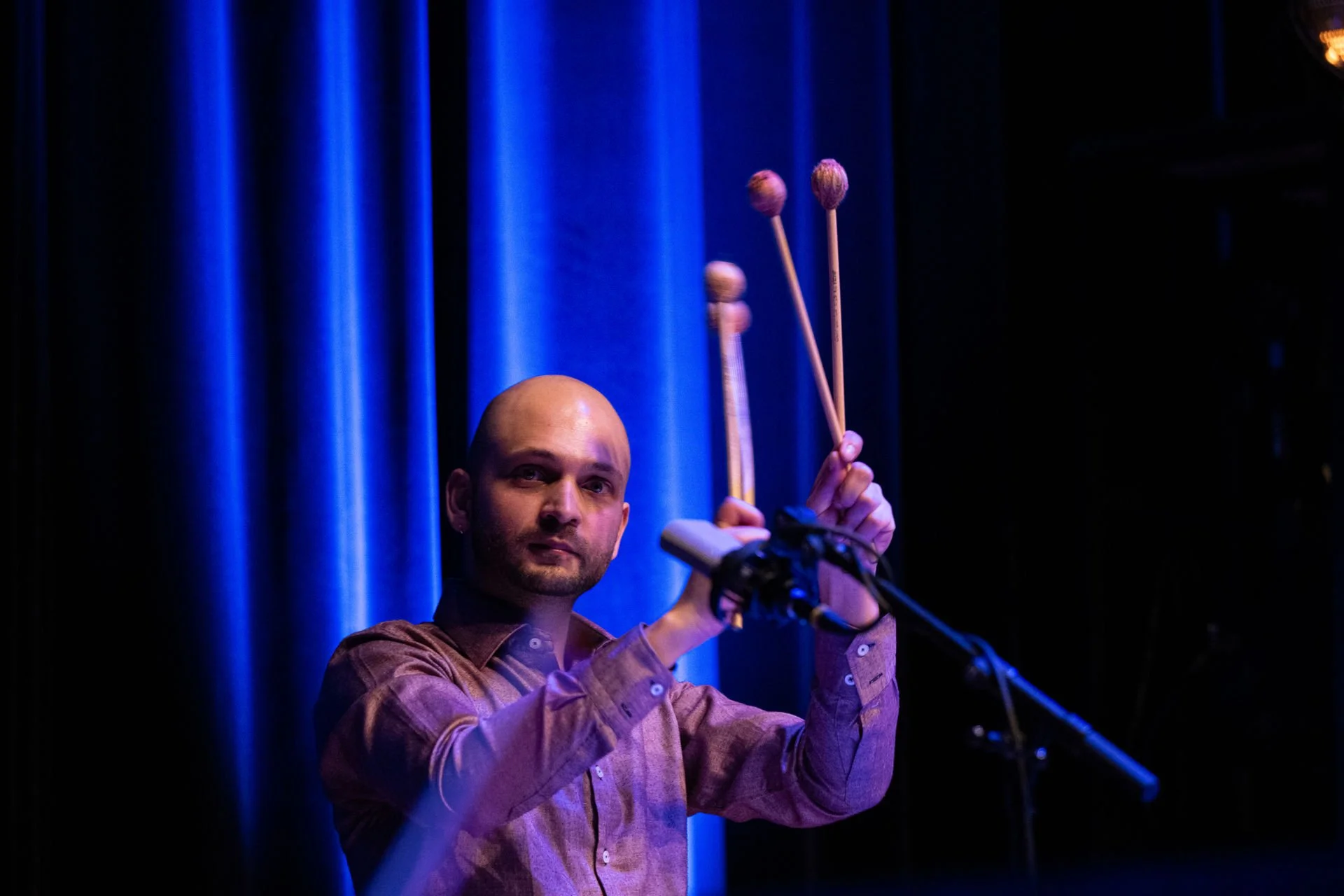 florian king trio feat. stella deepstring & guests  © julienne speckle