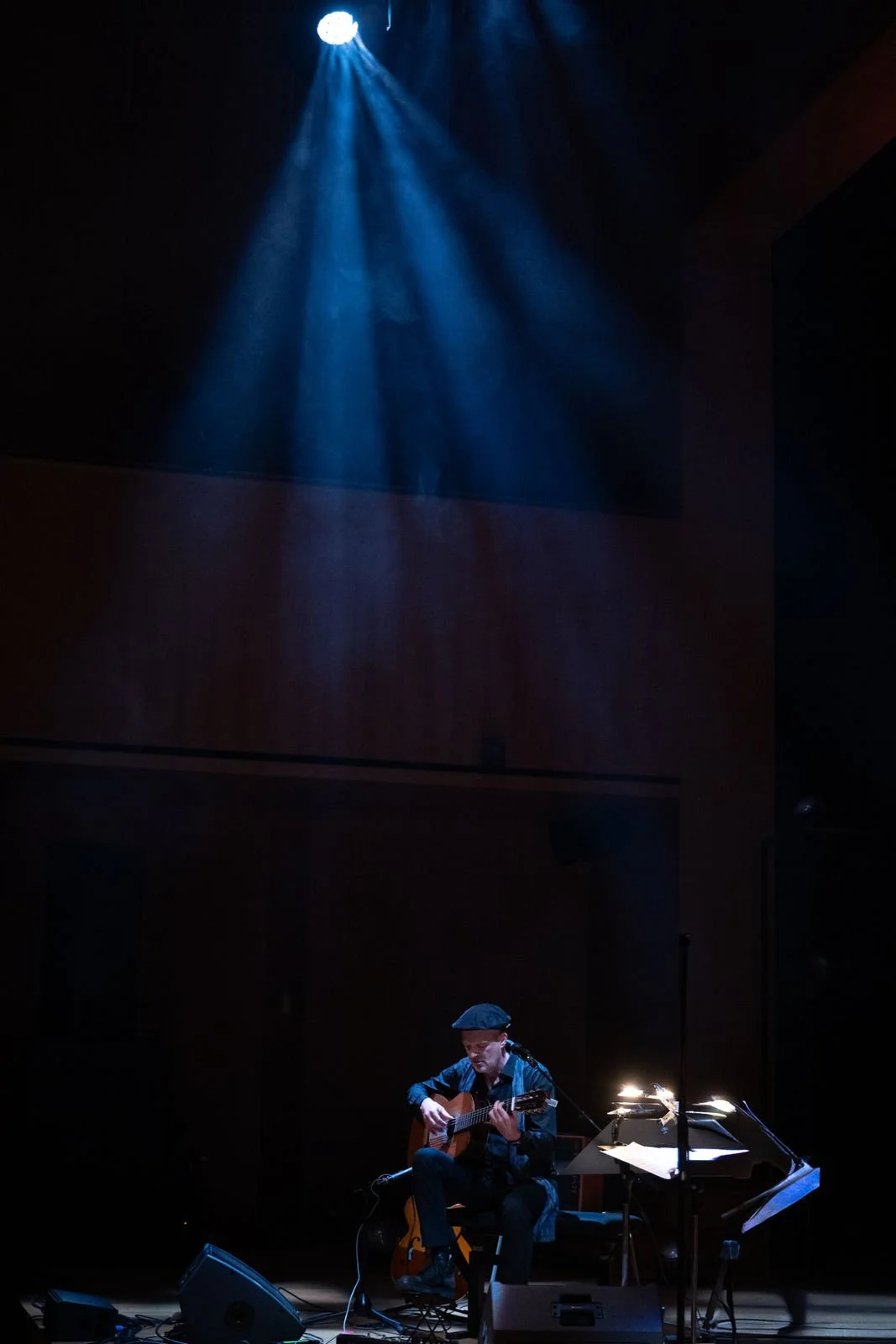 wolfgang muthspiel trio feat. brian blade & scott colley © julienne speckle