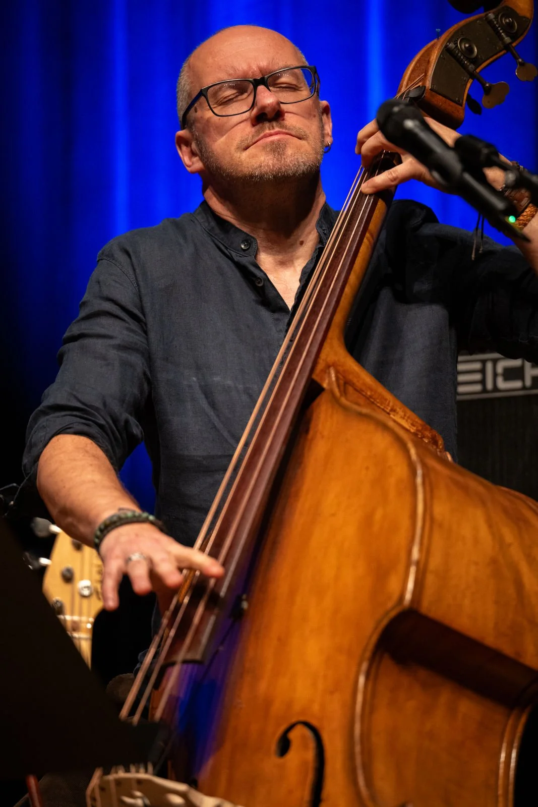 florian king trio feat. stella deepstring & guests  © julienne speckle