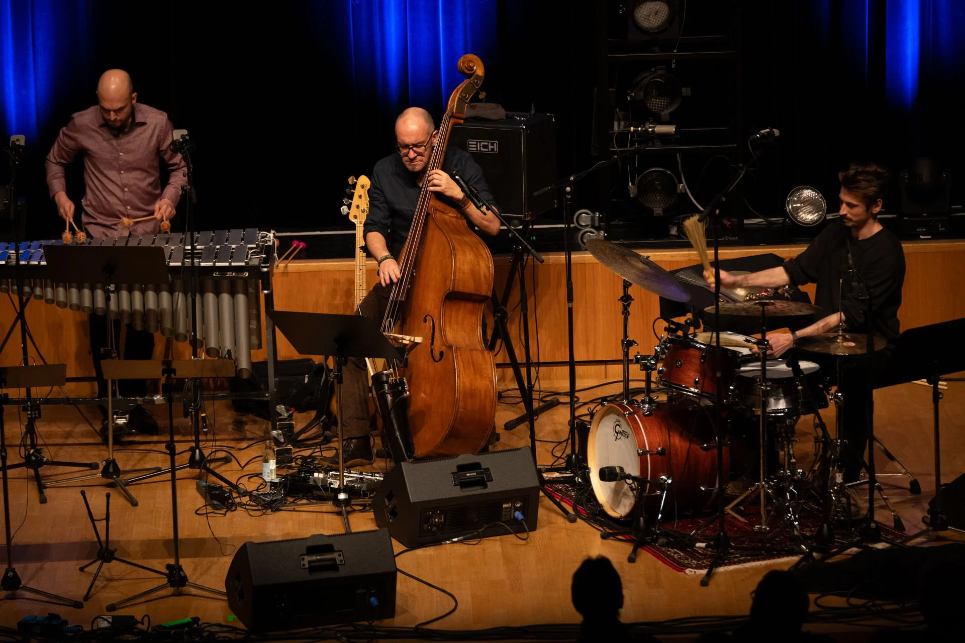 florian king trio feat. stella deepstring & guests  © julienne speckle