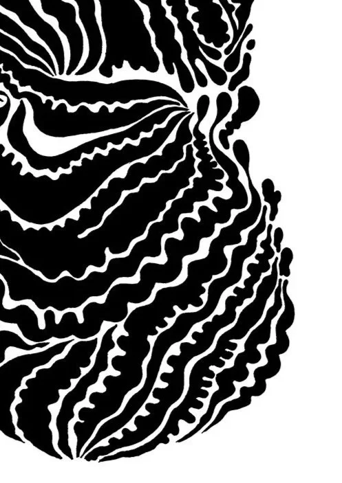 22609+Sam+Stewart+-+Artwork+2_FF+V2+web.jpg