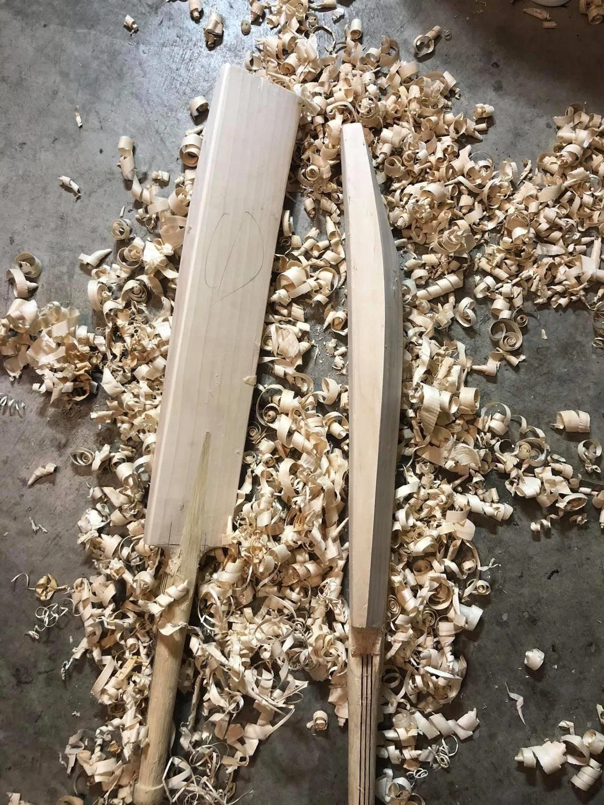 WhatsApp Image 2026-01-24 at 5.19.06 PM (1).jpeg