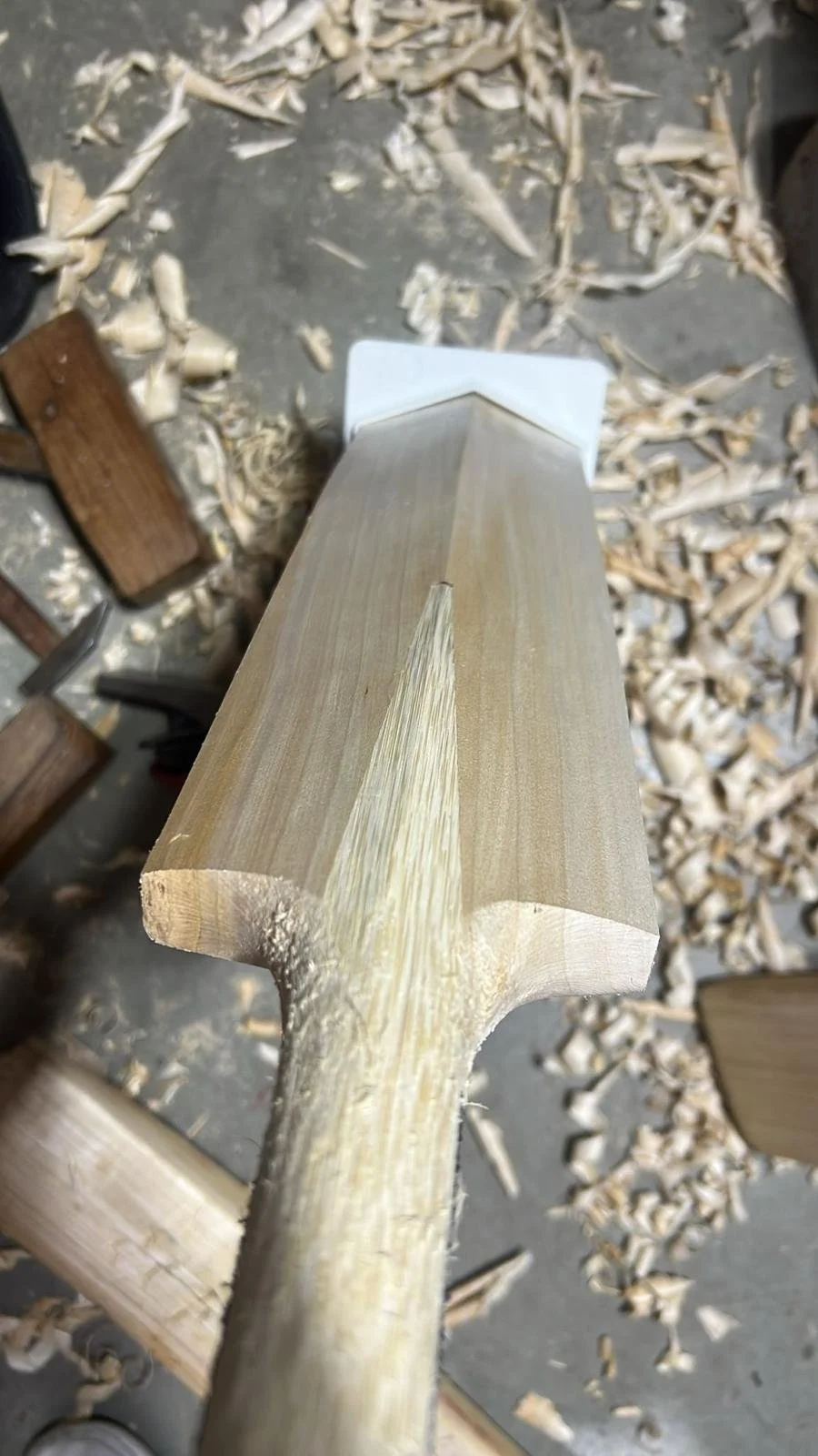 WhatsApp Image 2026-01-24 at 5.19.05 PM (1).jpeg