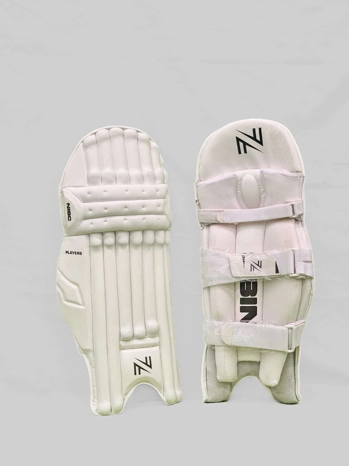 WhatsApp Image 2026-02-19 at 11.09.17 AM (2).jpeg