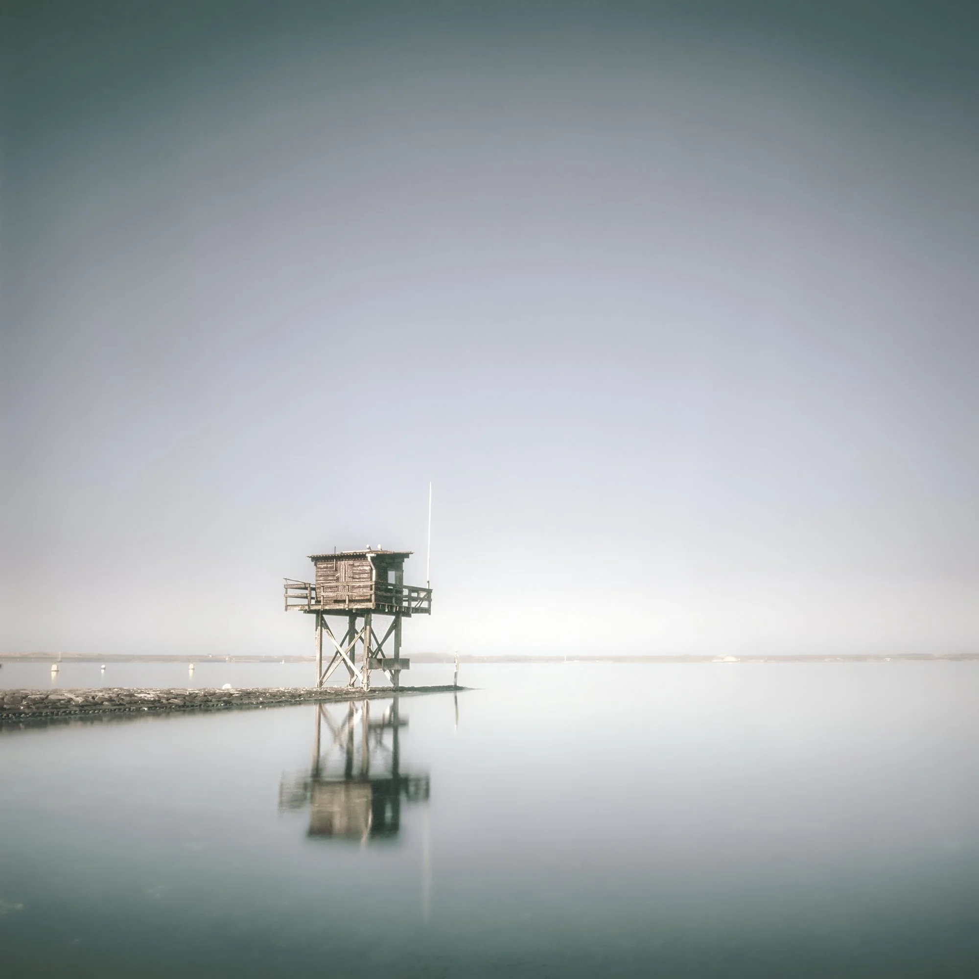 Aquatic III