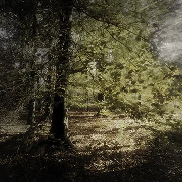 Presence