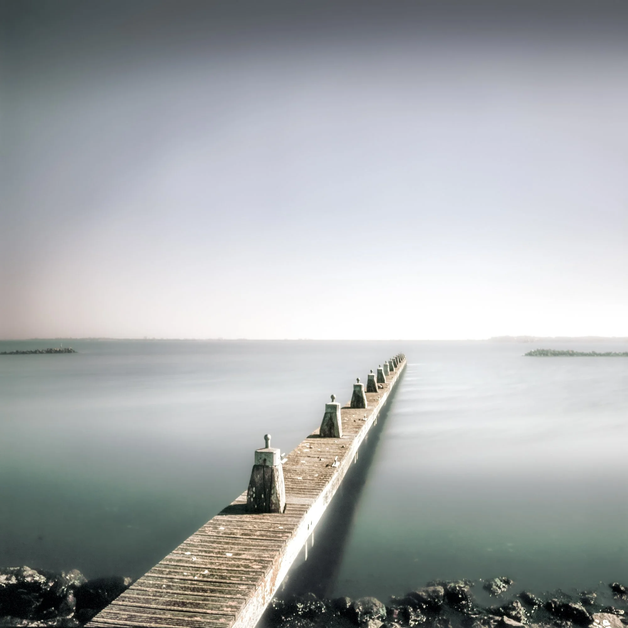 Aquatic IV