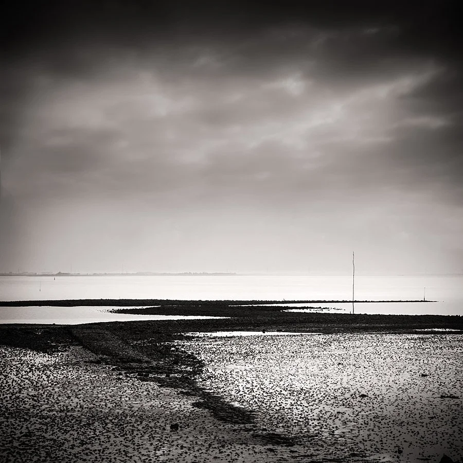 The Silent Palette IX - Zeeland, Netherlands - 2025