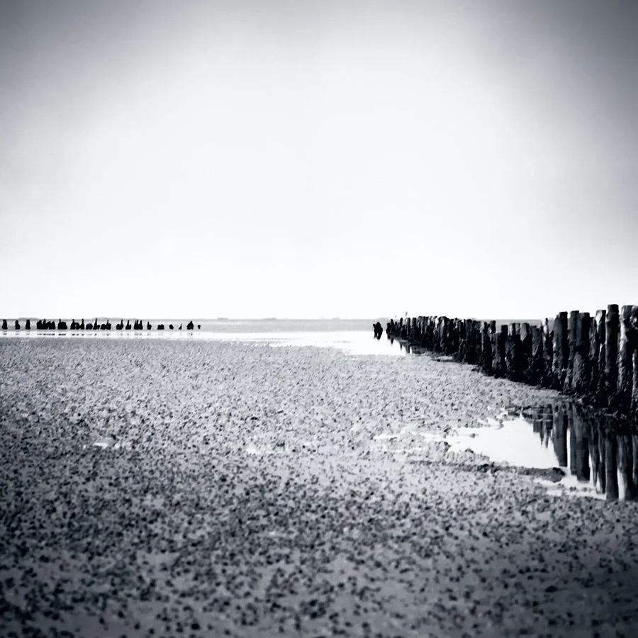 I Am Sea III - Mandø, Denmark - 2025