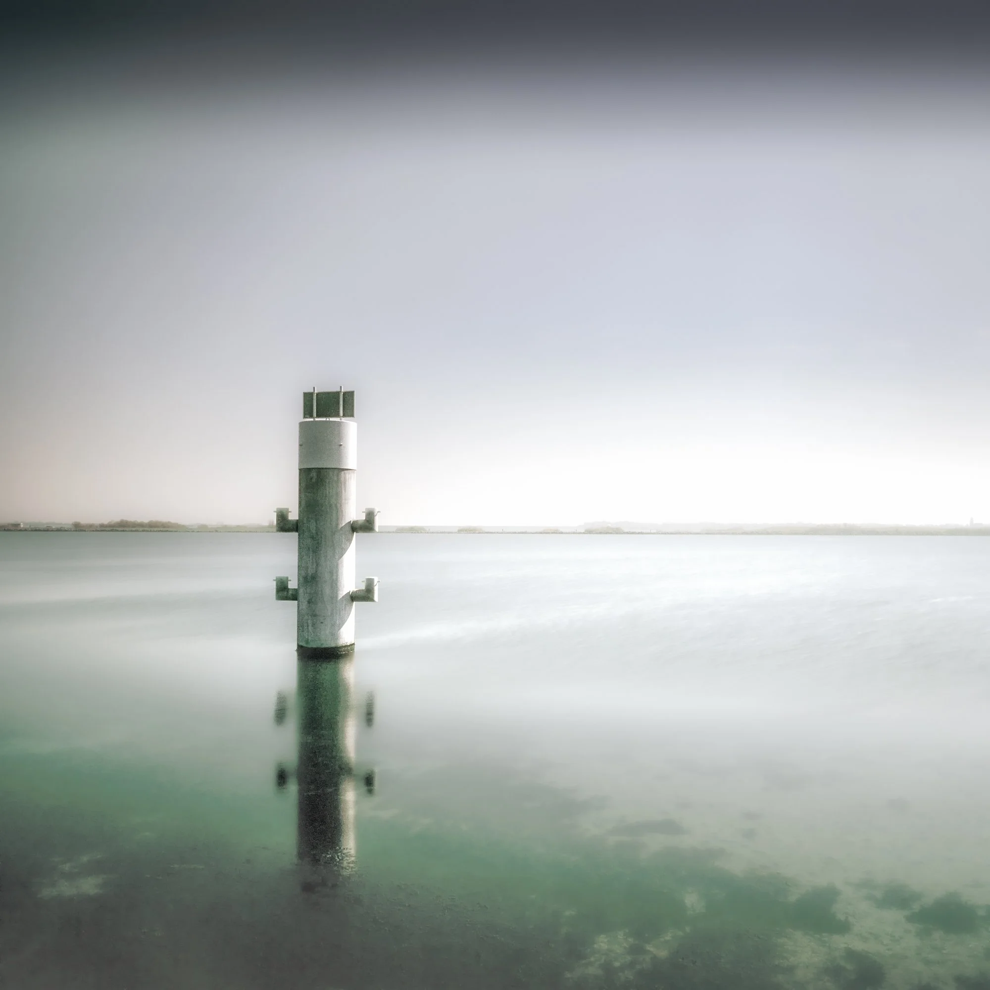 Aquatic II