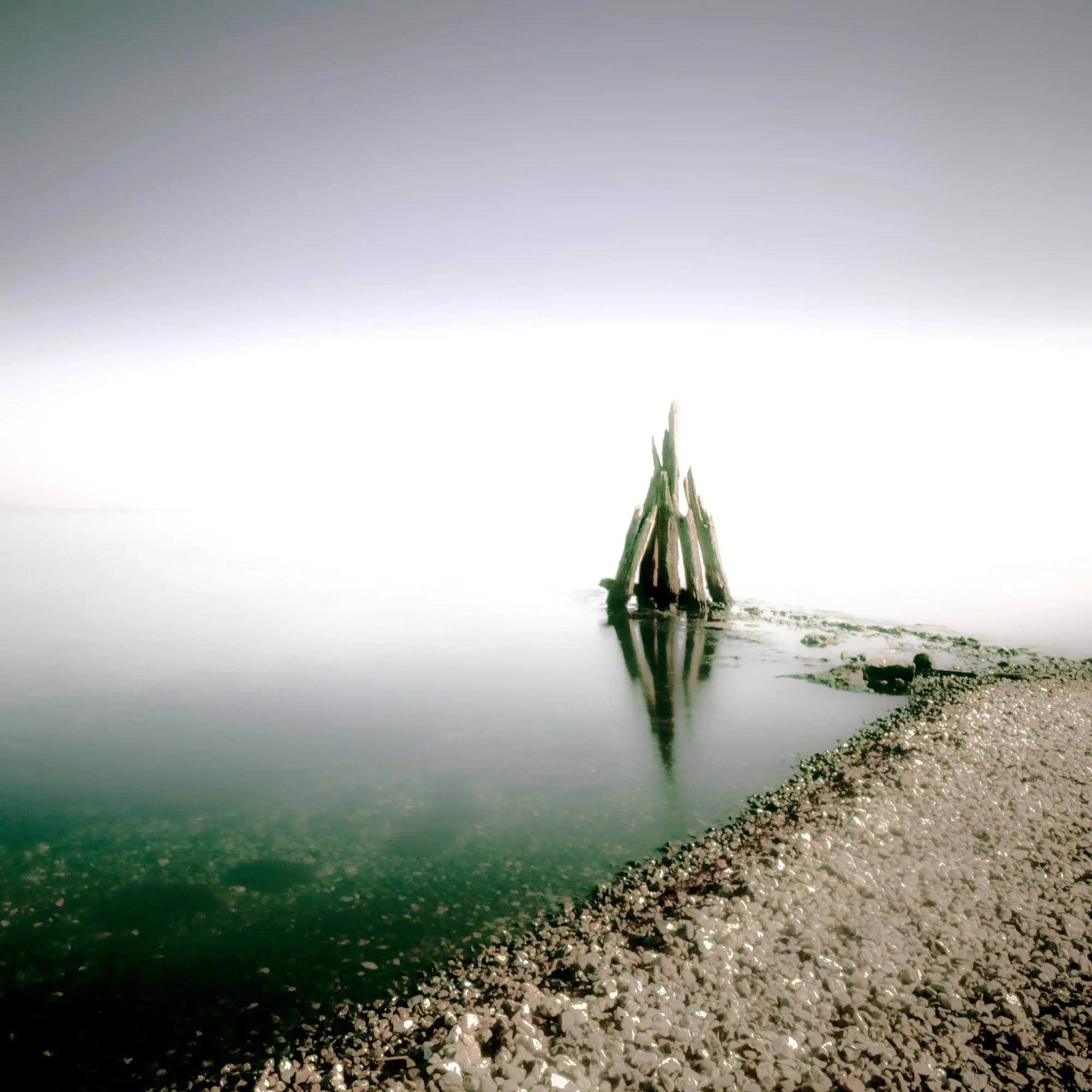 Aquatic VII