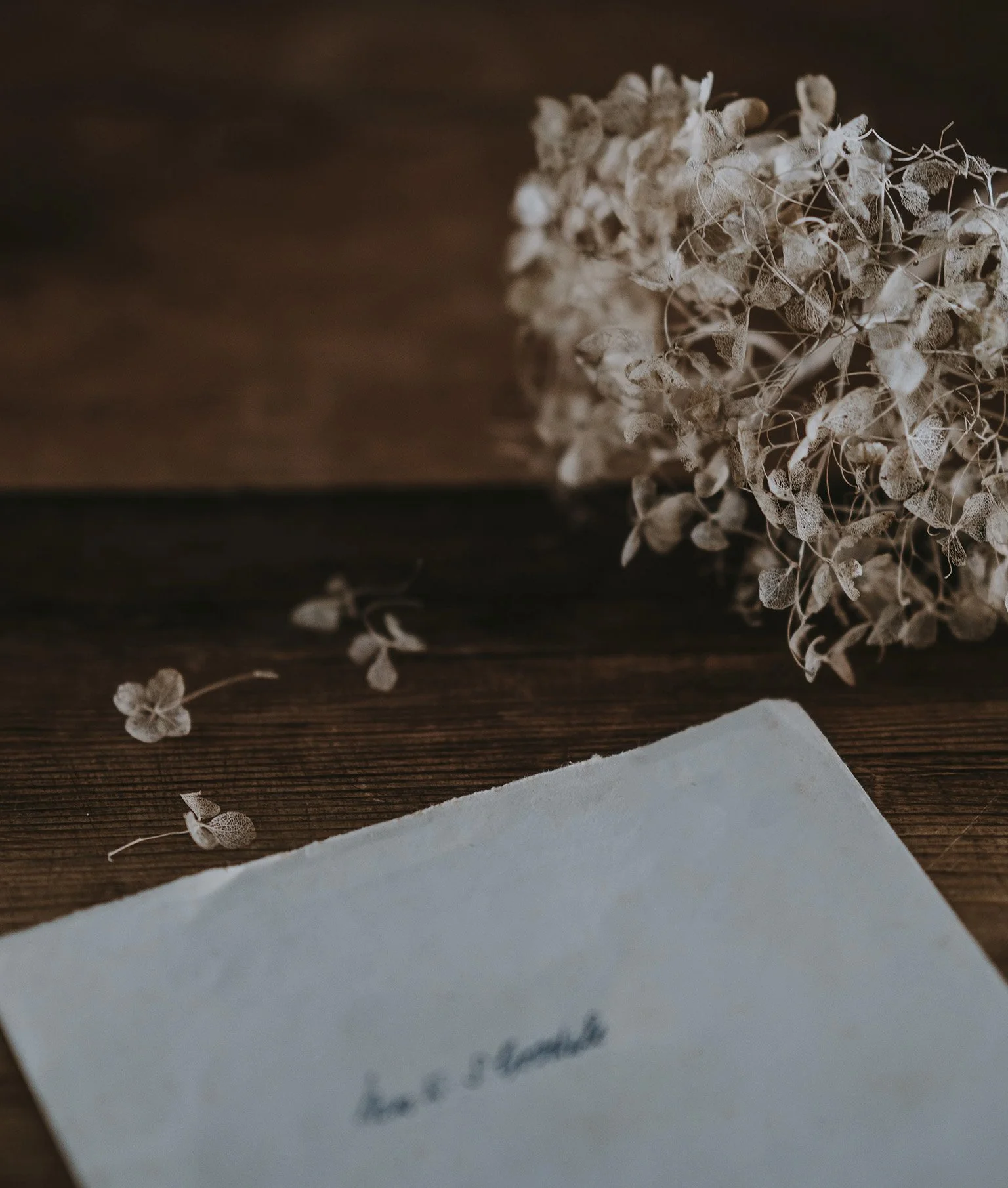 Ein Brief liegt auf einem Holztisch, daneben eine vertrocknete Hortensie.