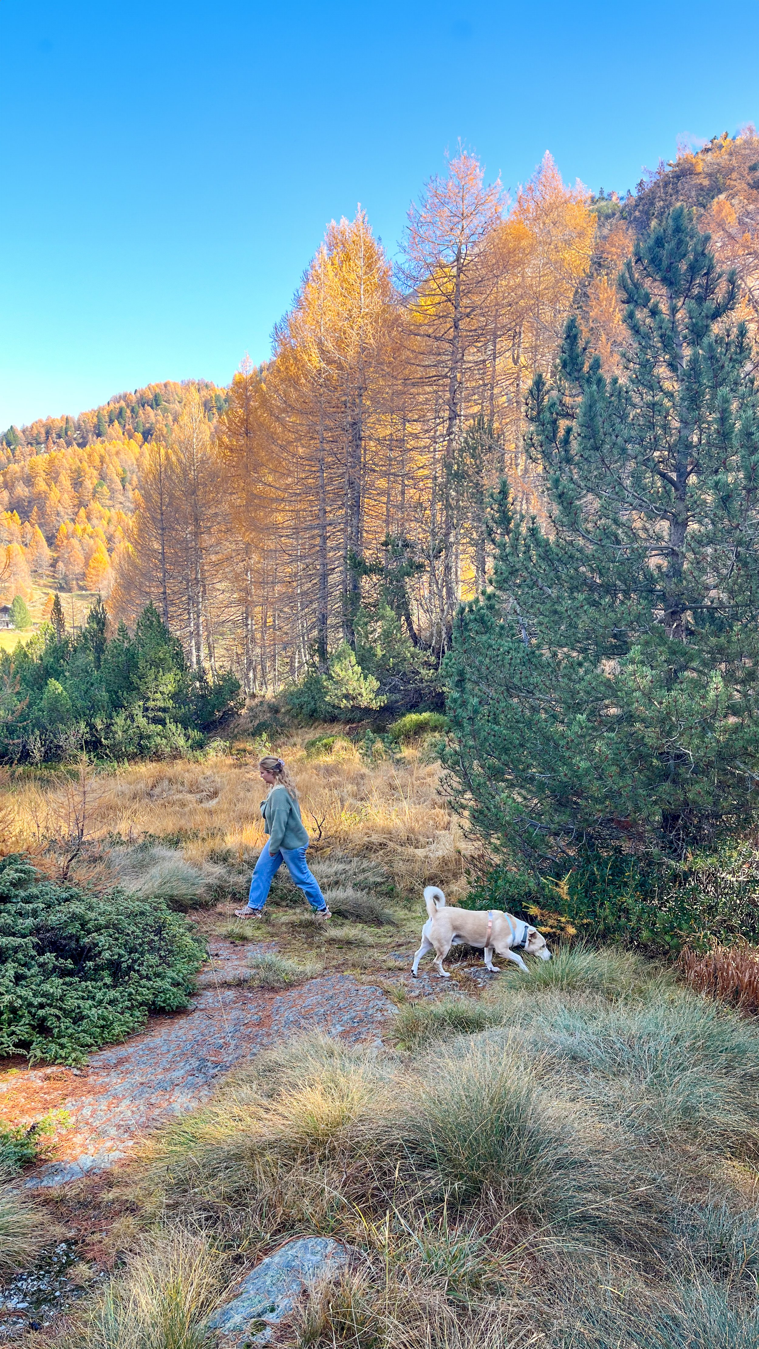 Lina und Yari suchen Pilze im Engadinger Herbstwald.