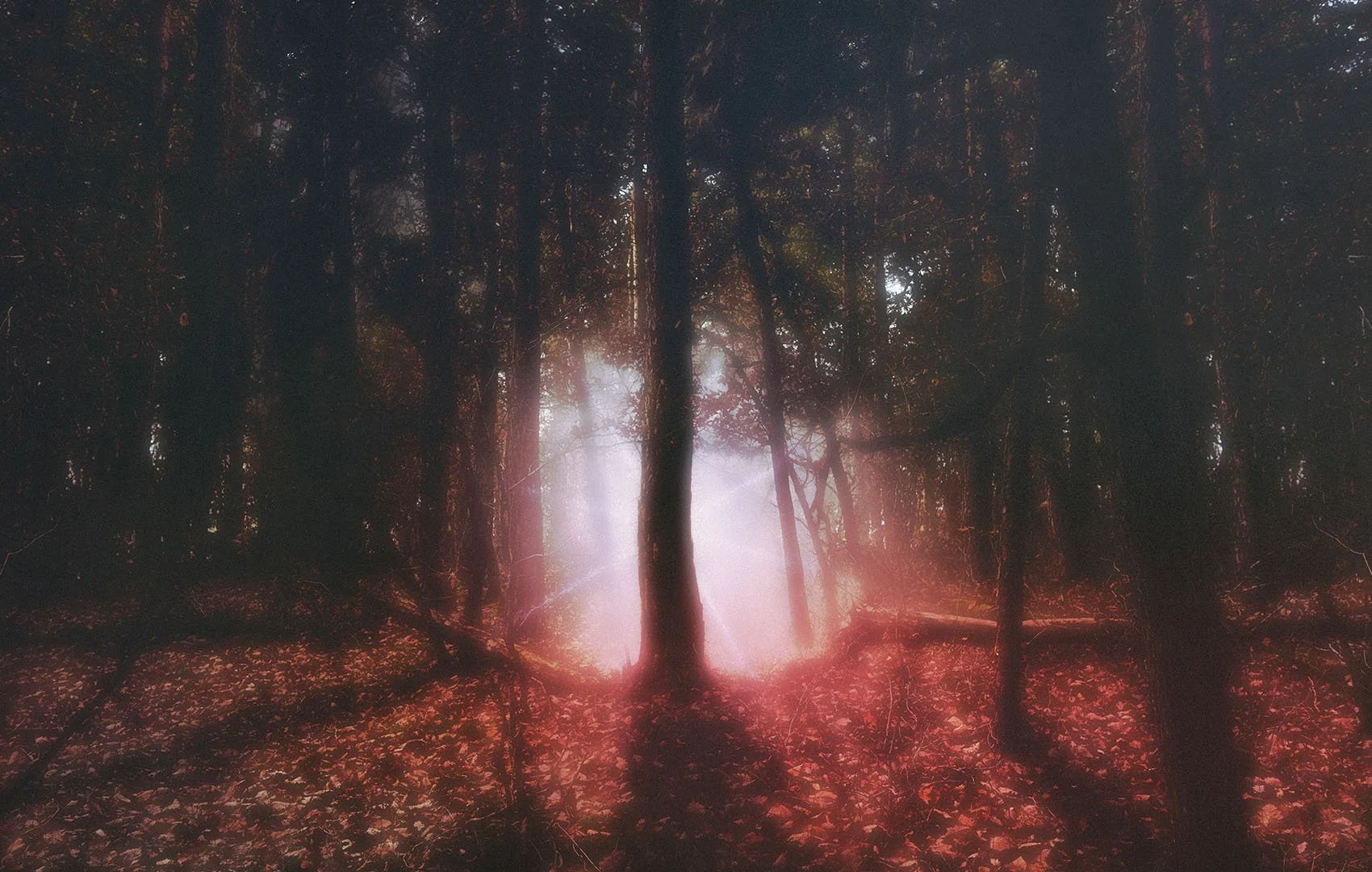 Indefinite. A mysterious light. - Blurry Dream - Aoto Pinku