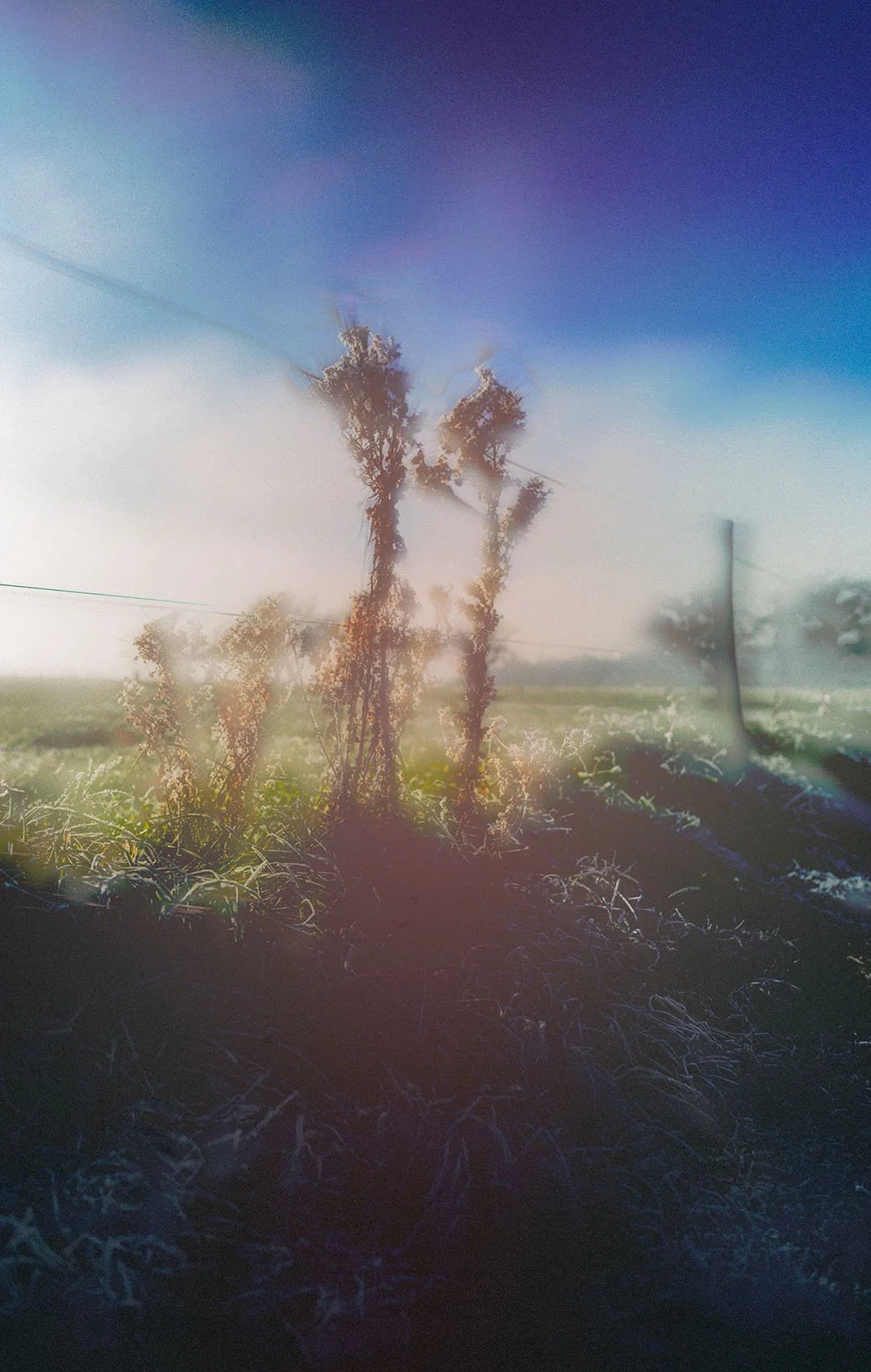 On the Road again - Blurry Dreams
