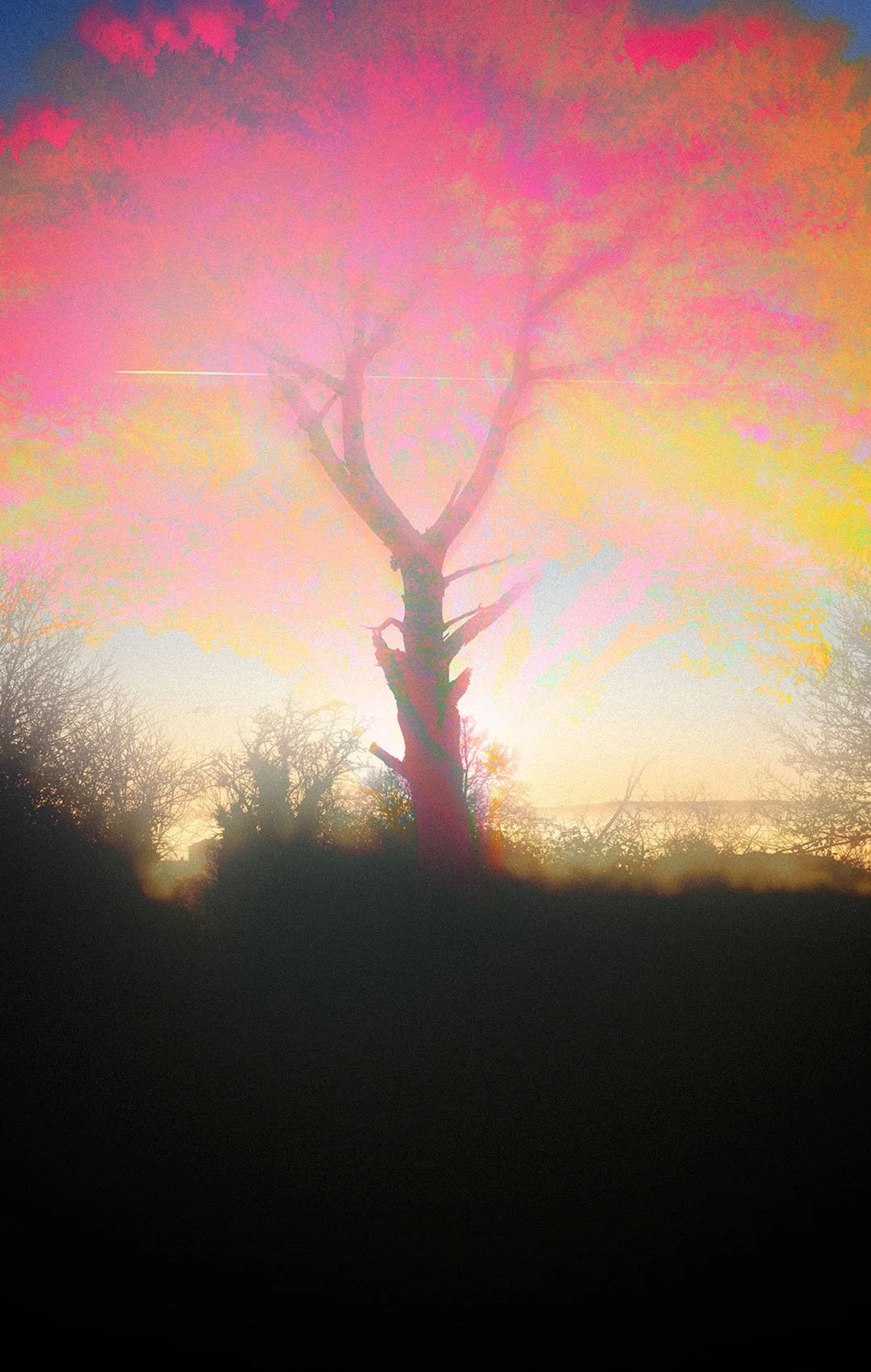 The Tree of Legendary Times - Aoto Pinku 1080x1700.jpg
