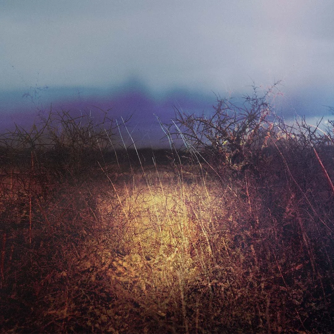 A Light in the Night - IG HP.jpg