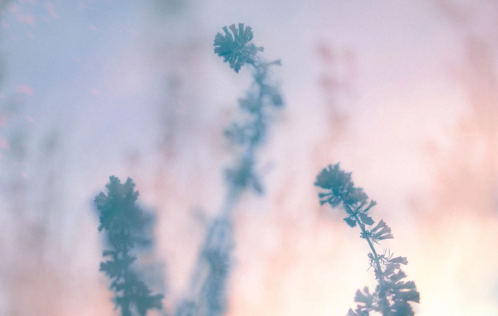 Sunrise somewhere in the universe - Aoto Pinku