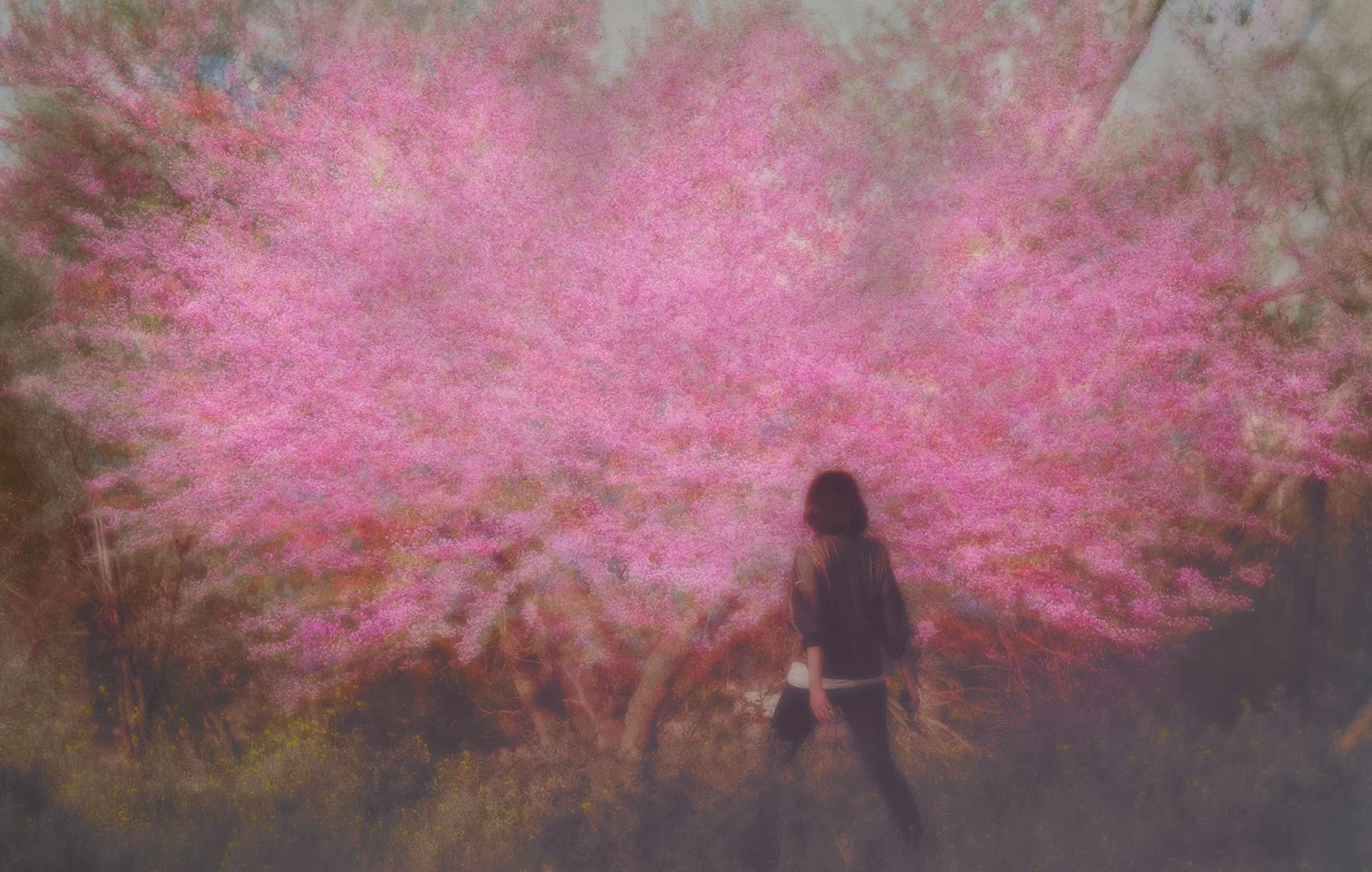 At the treshold of Wonderland - Blurry Dreams - Aoto Pinku