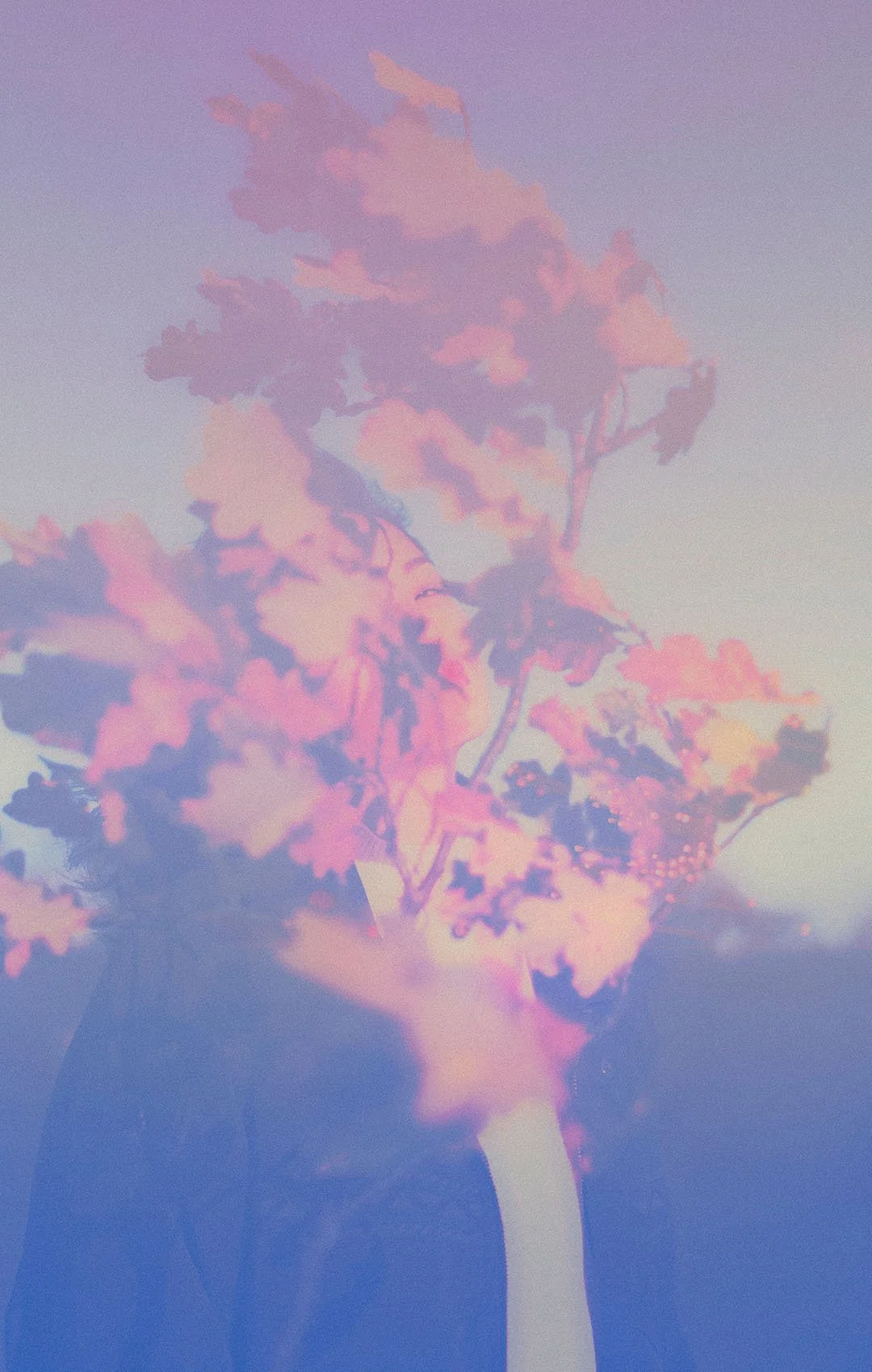 The Look - Blurry Dreams - Aoto Pinku 1080x1700.jpg