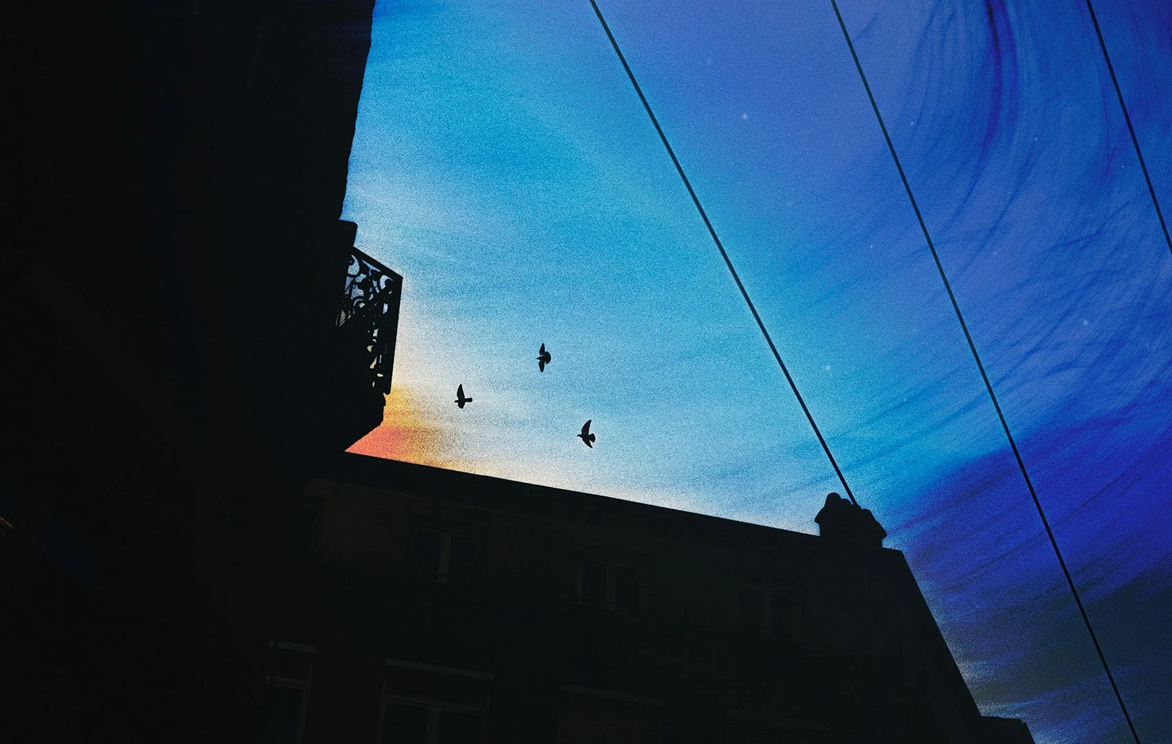 Birds Fly By - Aoto Pinku 1700x1080.jpg