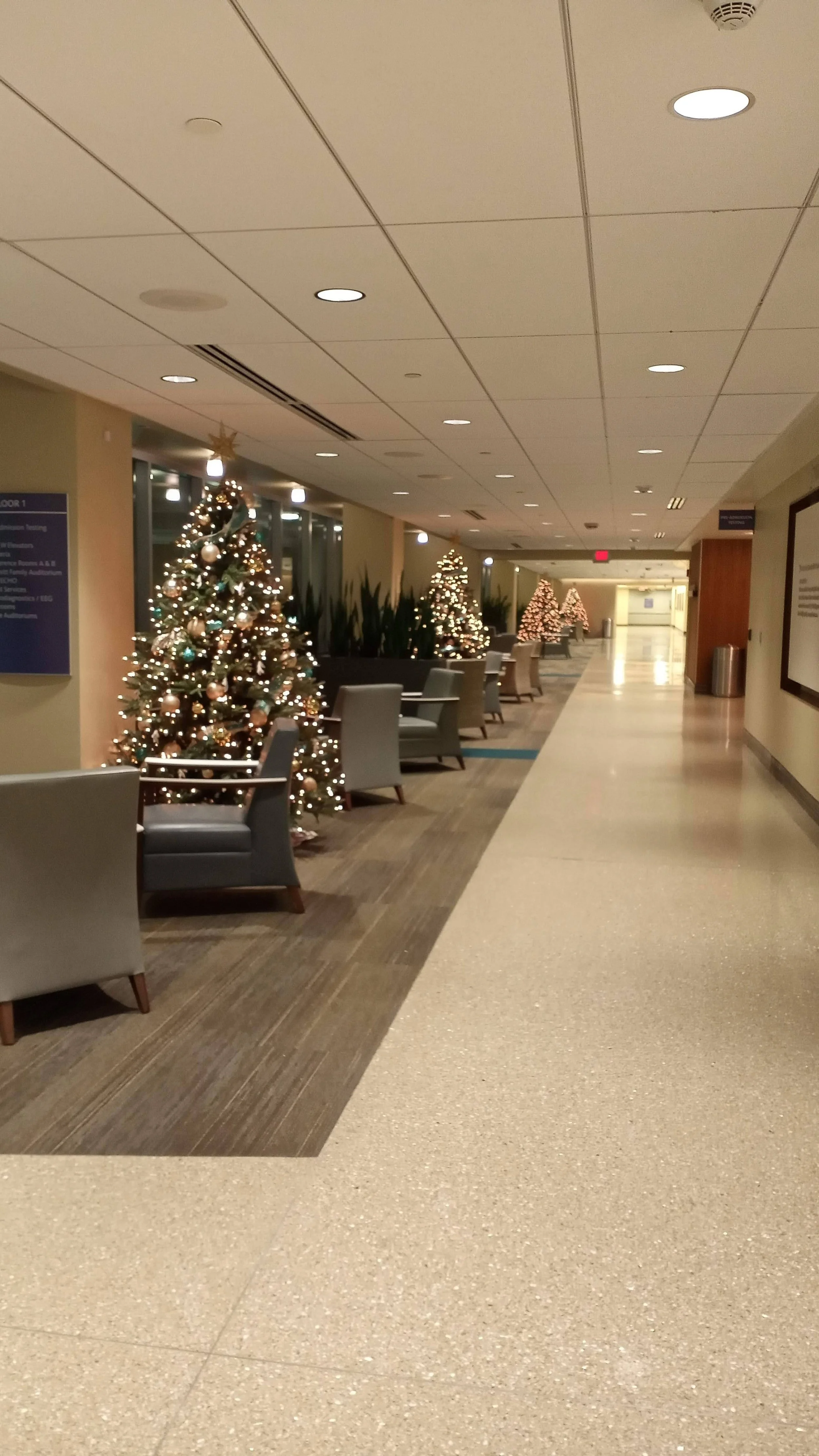Indoor hallway decorated with Christmas trees and lights, with chairs along the side.