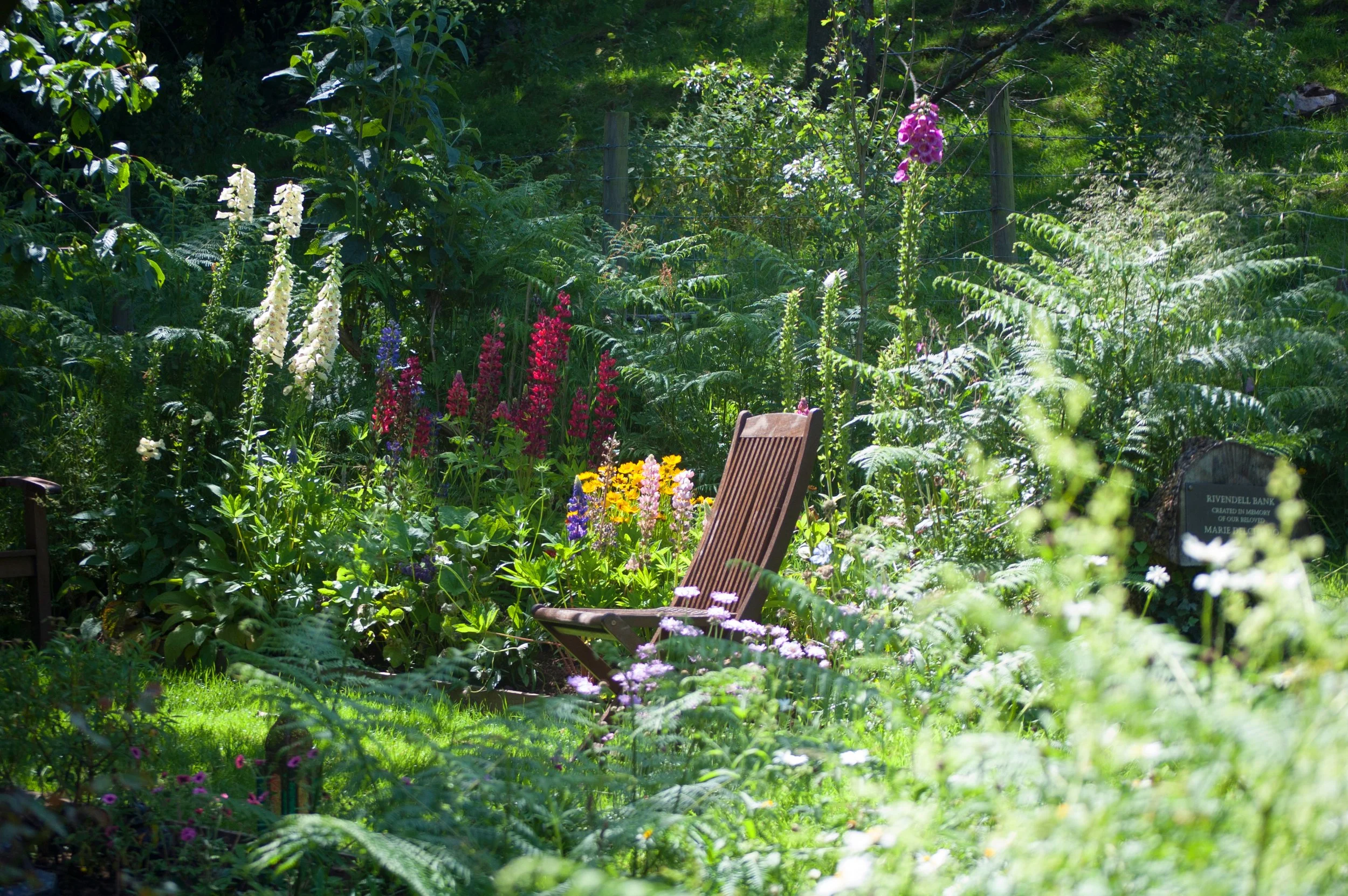 Summer Retreat - Cornwall, England