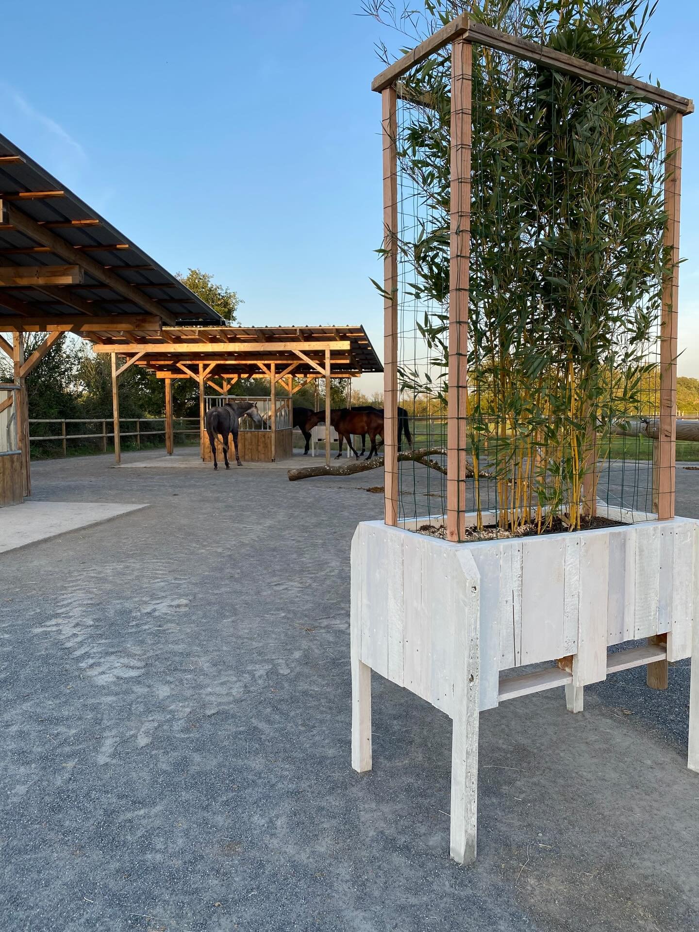 Petit coup de gueule du dimanche 😡

Plus &ccedil;a va plus je vois passer des annonces pour des pensions &laquo;&nbsp;&eacute;curie active&nbsp;&raquo; qui n&rsquo;en sont absolument pas ! 

Pour rappel, une &eacute;curie active c&rsquo;est : 
- 🐎 