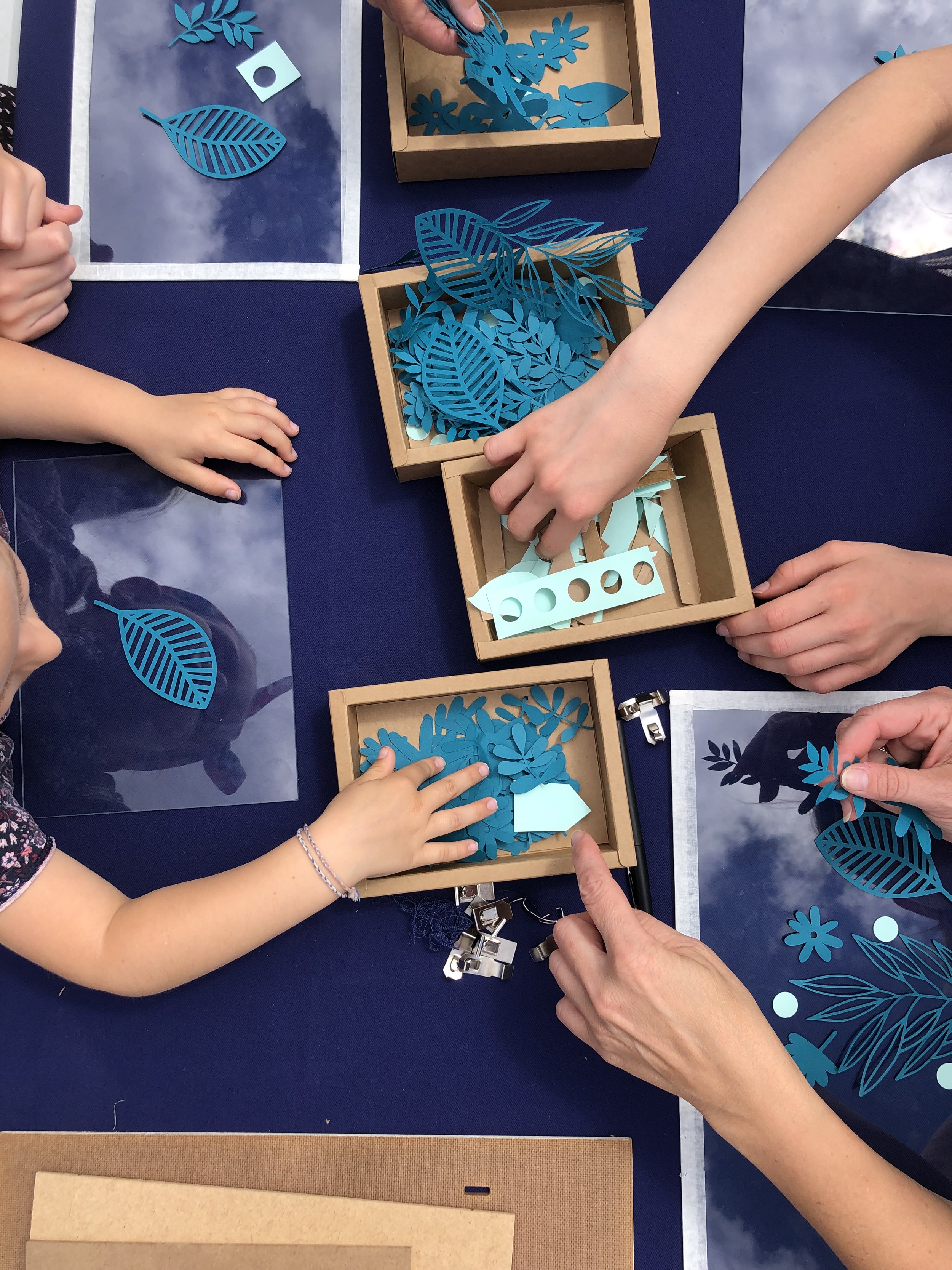 atelier-nougatine-cyanotype-enfant.jpeg
