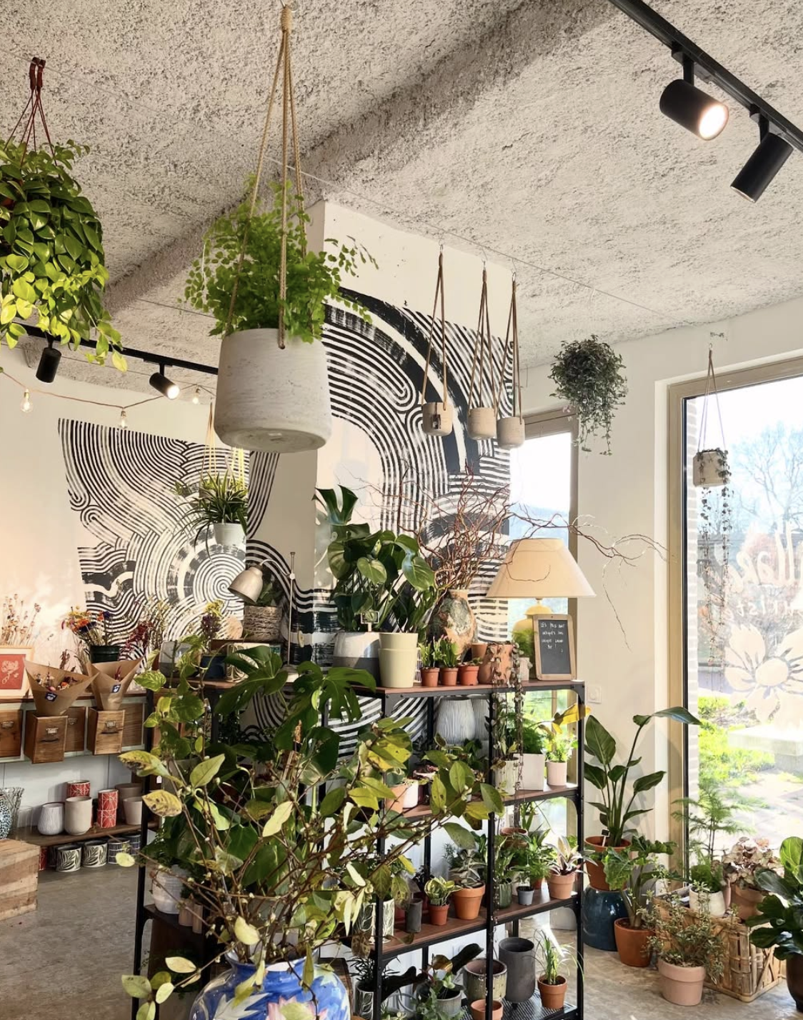 Capture d’écran 2026-03-02 à 14.56.44.png